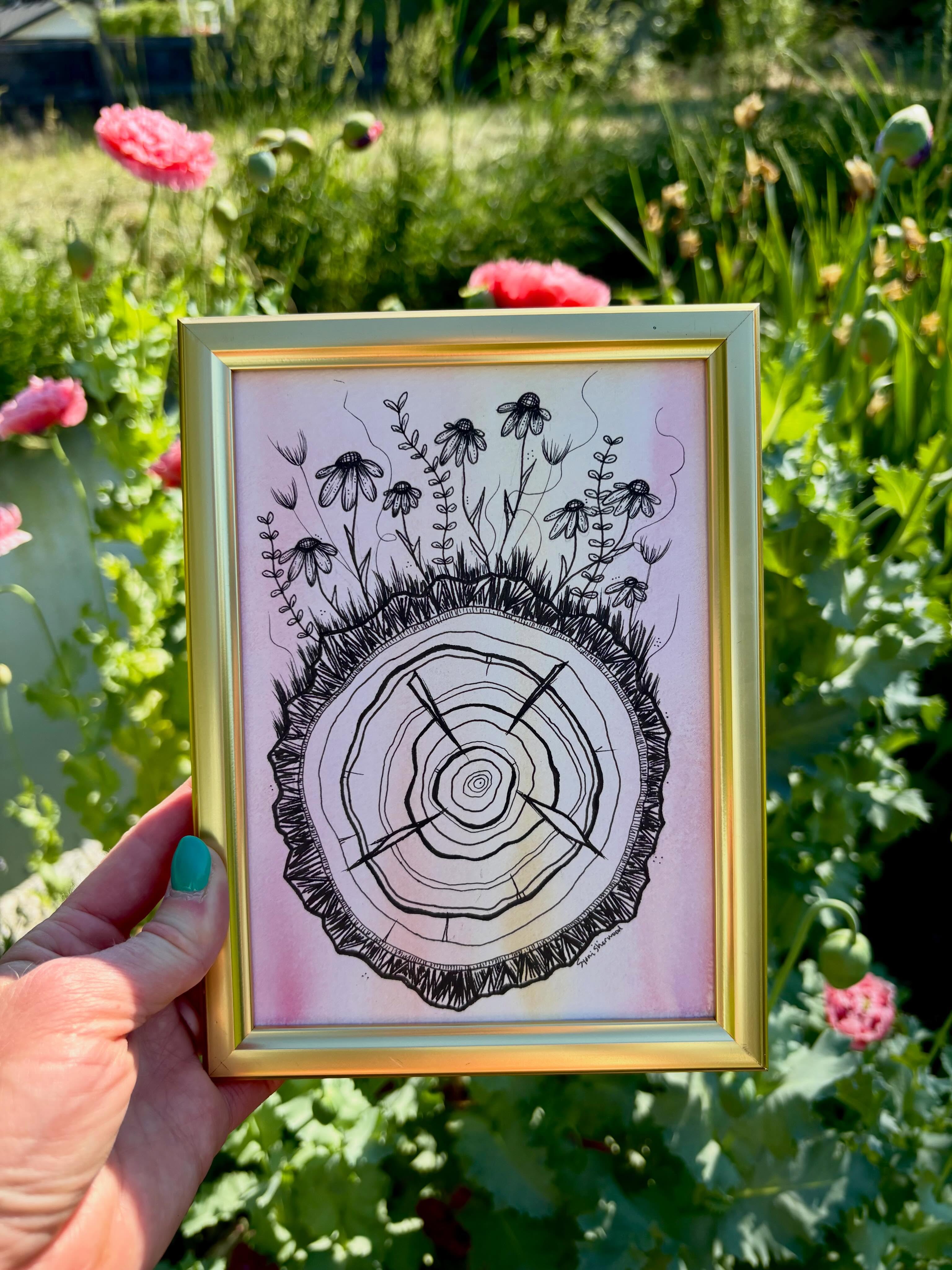 “Fourteen Summers” created with watercolor and archival pen. Frame included. You can find this new original piece of art on my website.
#woodring #natureart #inmygardentoday