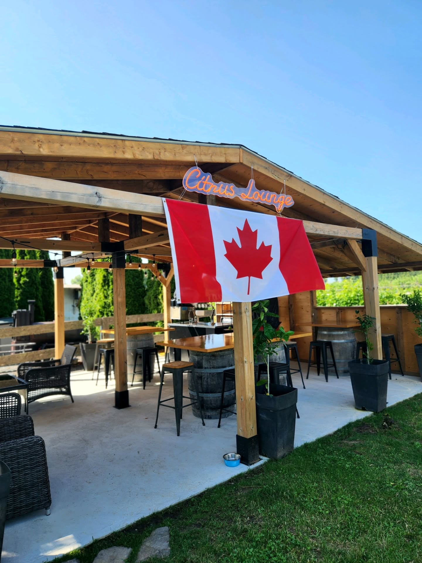 This heat wave calls for good drinks, good food, and plenty of fresh air.
Join us in our outdoor Citrus Lounge for a refreshing cocktail, a glass of wine, or an ice-cold drink, then grab a bite to eat while taking in the vineyard views. Whether you're stopping by for a tasting or settling in for a relaxing afternoon, there's no better place to enjoy summer.
#PrinceEdwardCounty #PECWine #CitrusLounge #PatioSeason #SummerSips