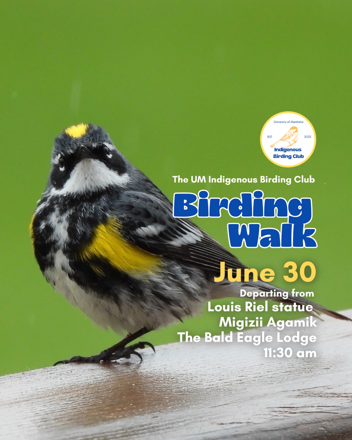 Next birding walk is on June 30! The species in the photo is a Yellow-rumpled Warbler.
Join us for a relaxed, 1.5-hour birding walk that begins at Migizii Agamik – Bald Eagle Lodge. We will gather at 11:20 a.m. by the Louis Riel statue, with the walk starting promptly at 11:30 a.m. The walk will take us to King’s Park, or another nearby location, at a leisurely pace, allowing us to enjoy our feathered relatives in the green spaces on and near campus.
These walks are open to BIPOC (Black, Indigenous, and People of Colour) folks and allies who share our belief that birding is for everyone, regardless of experience. Whether you’re new to birding or a seasoned enthusiast, we welcome you to join. Just dress for the weather and be sure to bring sunscreen and water. If you don’t have your own binoculars, we have some available to borrow.
Our walks are an opportunity to connect with nature, build community, and learn from one another in a relaxed and supportive environment. Feel free to participate at your own pace, there’s no need to stay with the group the entire time, and you’re welcome to come and go as you please.
Accessibility Information:
The walk covers a variety of paths, including pavement, grass, dirt, and gravel, with mostly flat terrain and a few gentle slopes.
Washrooms are available approximately halfway along the walk.
If you need assistance or have specific accessibility requirements, please let us know in advance so we can do our best to accommodate you.
Parking:
Please note there is NO free parking on campus M-F from 8:30 a.m. to 4:30 p.m. Parking is available in the Parkade and at metered spaces for a fee.
We look forward to seeing you there!
📷: @justinleerasmussen
@umindigenous @umanitoba @umstudent @myumsu @umisacouncil