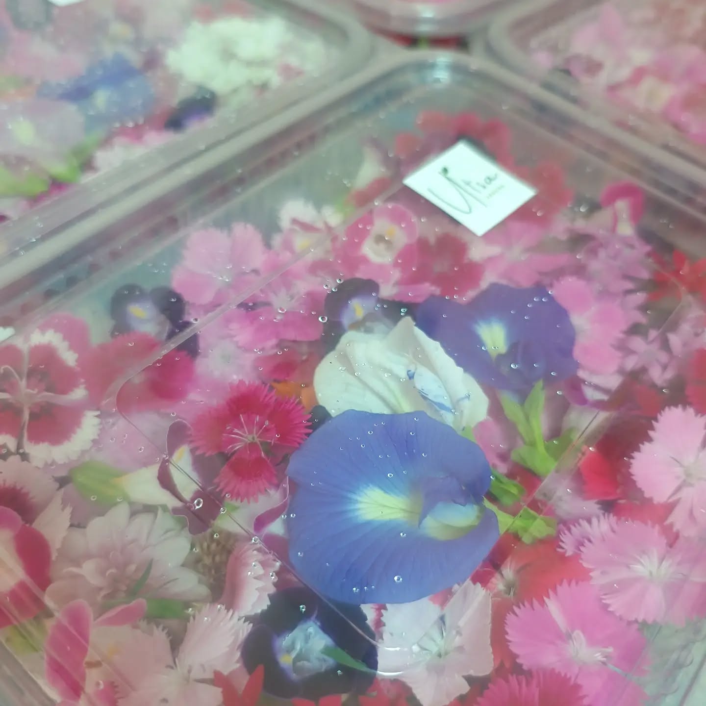 Shades of Summer 🌞
#edibleflowers #summer #freshflowers #chefs #garnish