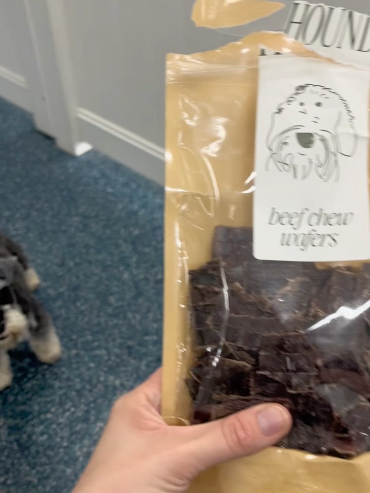 Today we say farewell to beautiful Millie as she moves away from the hood! ❤️ She even brought in some special treats for everyone to share today!
It’s been such a pleasure having you as part of our daycare family, and we’re going to miss your happy face, playful energy , and all the joy you brought to every day. Wishing you all the best on your next adventure, Millie! You’ll always have a special place in our hearts. 🐾