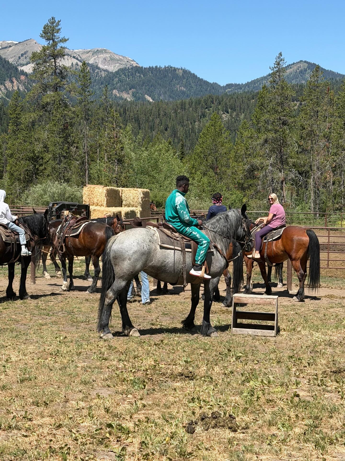 Day Two of The Bridges trip to Yellowstone National Park! 🏞️🏔️🐴
#thebridgesacademy #bridgesinyellowstone #bridgesadventures