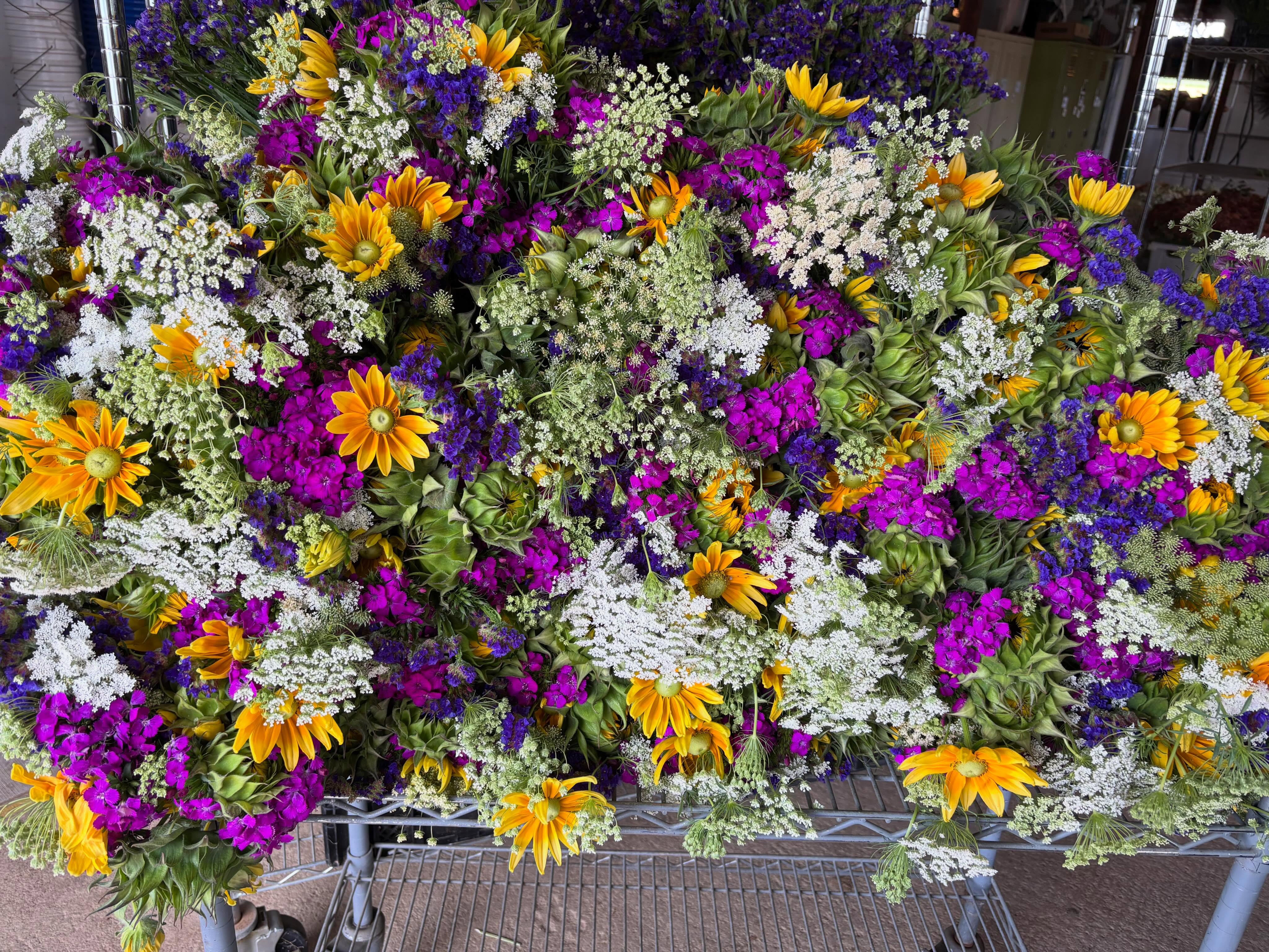 We grew Ammi (false Queen Anne’s lace) for the first time in a long time. It’s fun to visit old friends.
And since you’ll ask: these on their way to @karnsfoods and @wegmans Concordville, KOP, Lancaster, Downingtown and Mechanicsburg this morning.