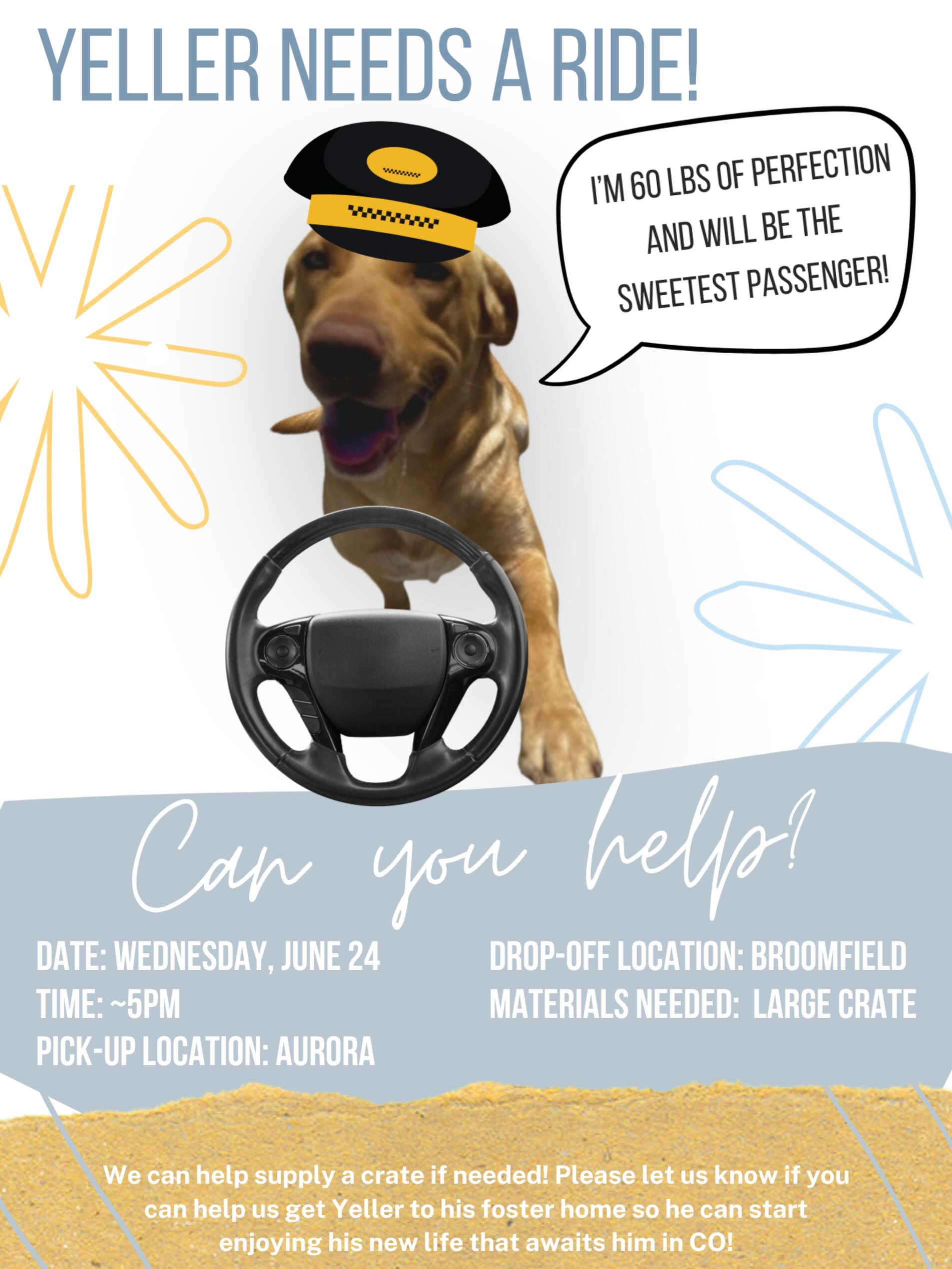 ***COVERED, Thank you***. Colorado volunteers (or anyone in Colorado that is interested in volunteering 🥰) we need you! Our sweet boy Yeller is en route to CO from Arkansas and will arrive tomorrow evening around 5pm. We need help getting him from his drop off location to his foster. Transporting dogs is one of the easiest ways you can help show up - not to mention one of the lower time commitment needs we have! Please let us know if you can help sweet Yeller- wet nose boops and kisses are included! 🐾❤️🚘🚕