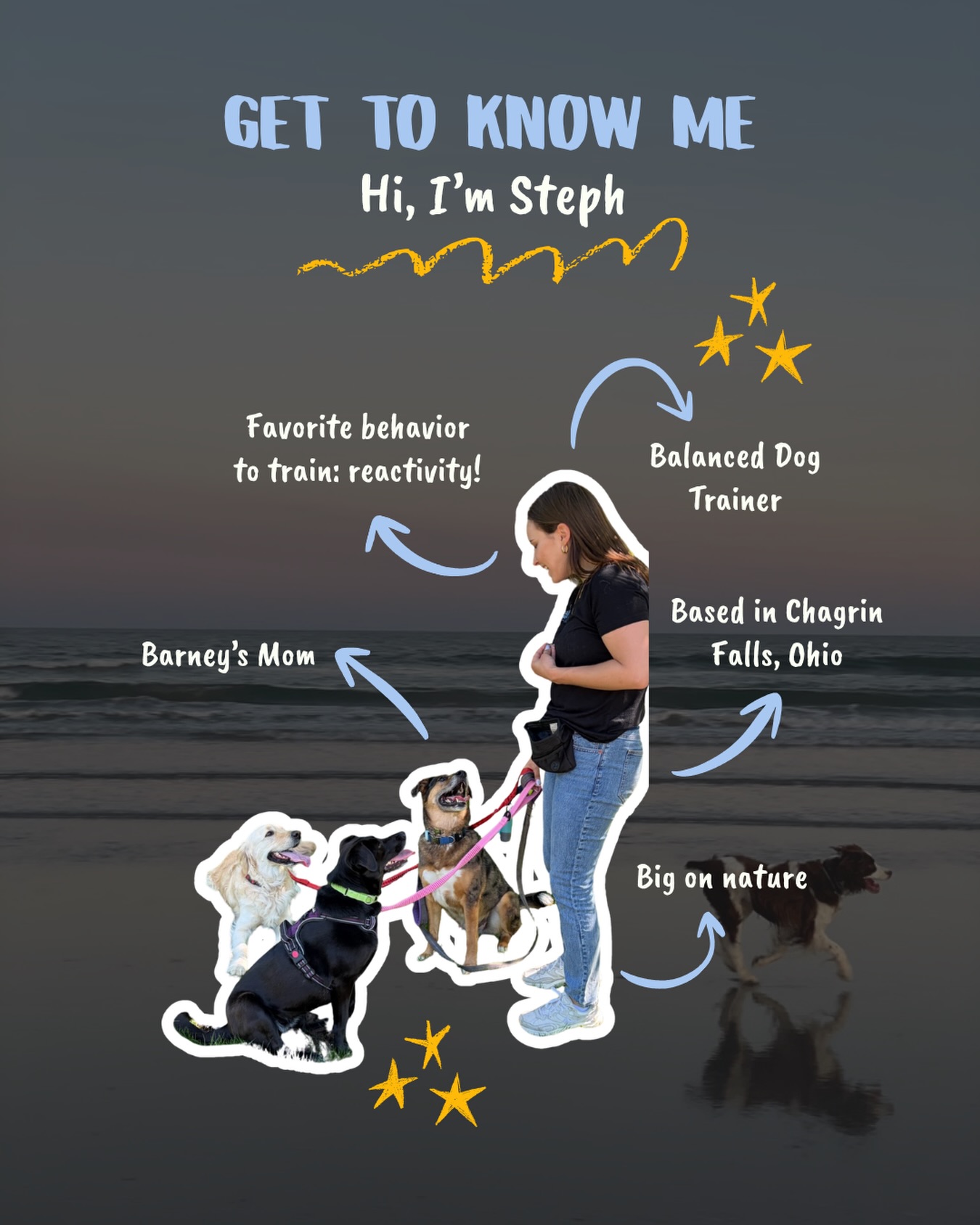 For those of you who are new to this page, hi! 👋
I started A Million Dreams Dog Training in Sept 2024 with a simple goal in mind: to do everything I could to improve the lives of dogs and their owners.
I use this page as a way to get important, life-changing, FREE training tips to as many people as possible so that EVERYONE can unleash the dog of their dreams.
Comment below any training questions you have, and follow along to see my advice!
xoxo, Steph 🫶
#dogtrainer #dog #smallbusiness