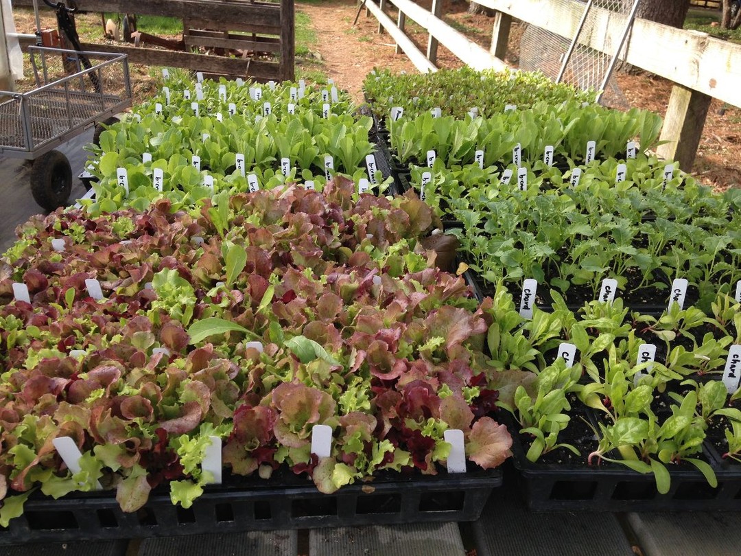 CSA week 6