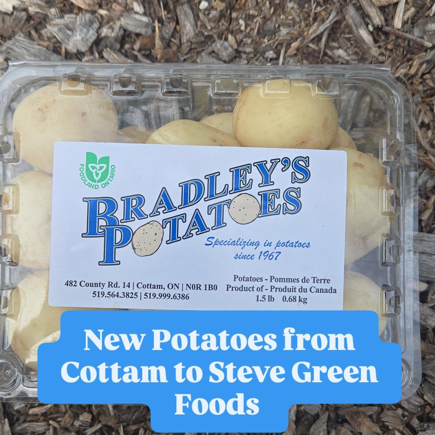 Arriving Thursday @stevegreenfoods
New Potatoes from Bradley's Potatoes
.
1506 Wyandotte Street East
Open 10am-6pm
.
#yqg #newpotatoes #windsorfoodieCounty ##519shoplocal #SupportLocal