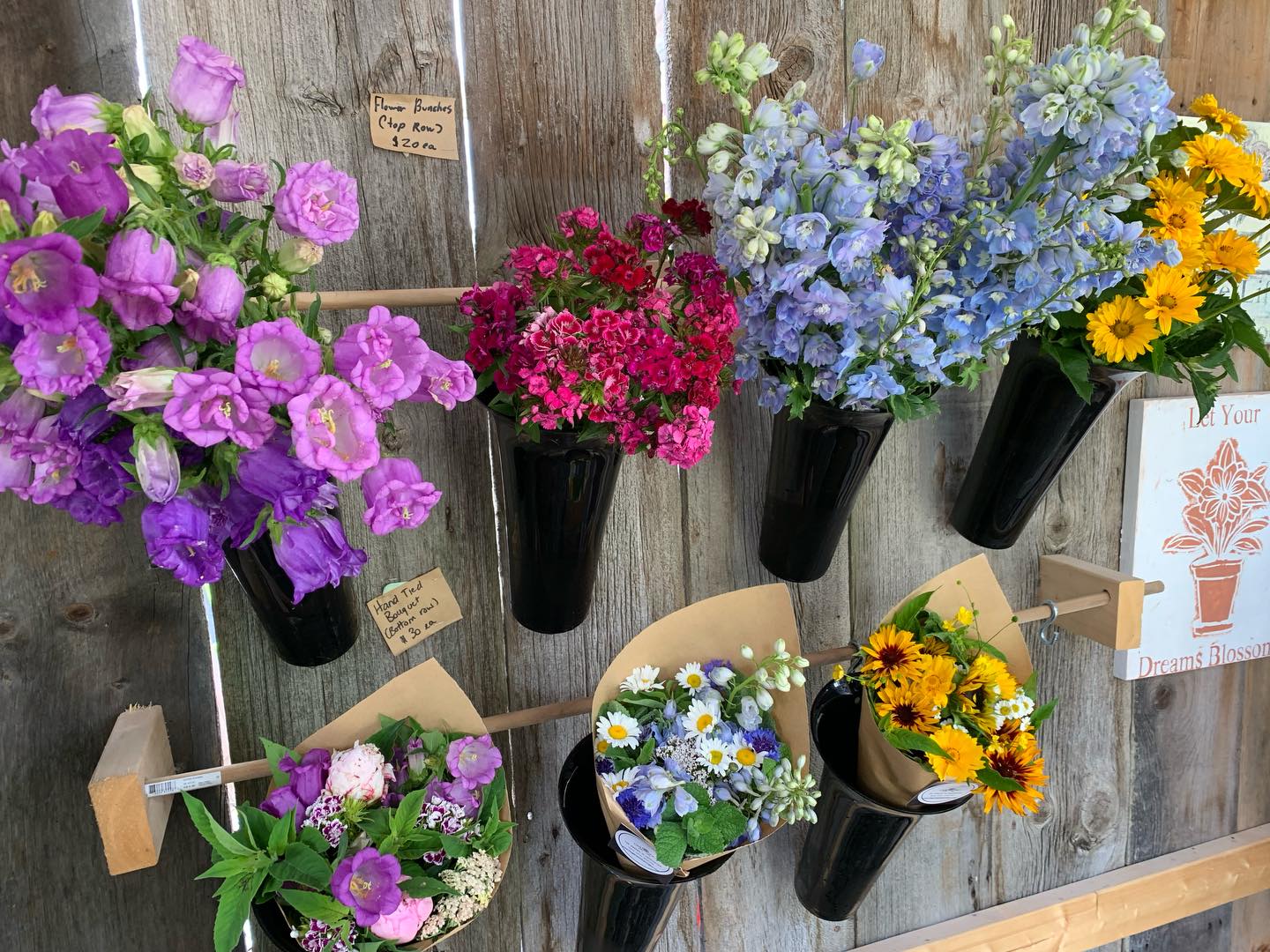 The farm stand is OPEN for the weekend! Fresh, Beautiful, Grown-Right-Here Blooms, Bouquets and more Friday thru Sunday 10am-6pm. Drop by for flowers and stay to enjoy The Garden. Don’t forget to bring a picnic and enjoy the flowers & country air this weekend!
We’ll see you soon.
#thegardeninharrington #harringtonontario #flowerfarm #oxfordcounty