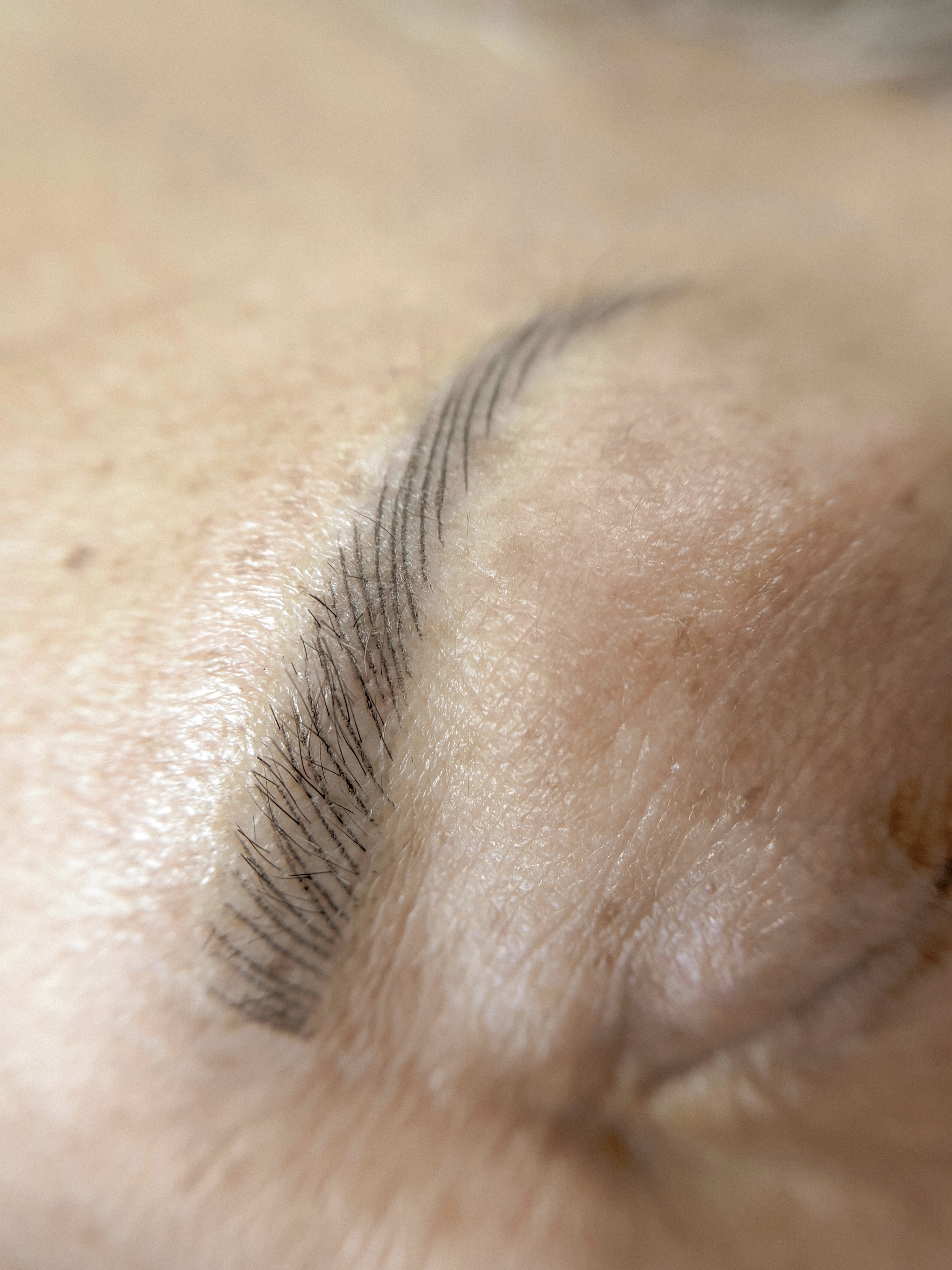 Nano Brows AFTER // Swipe for BEFORE 😮