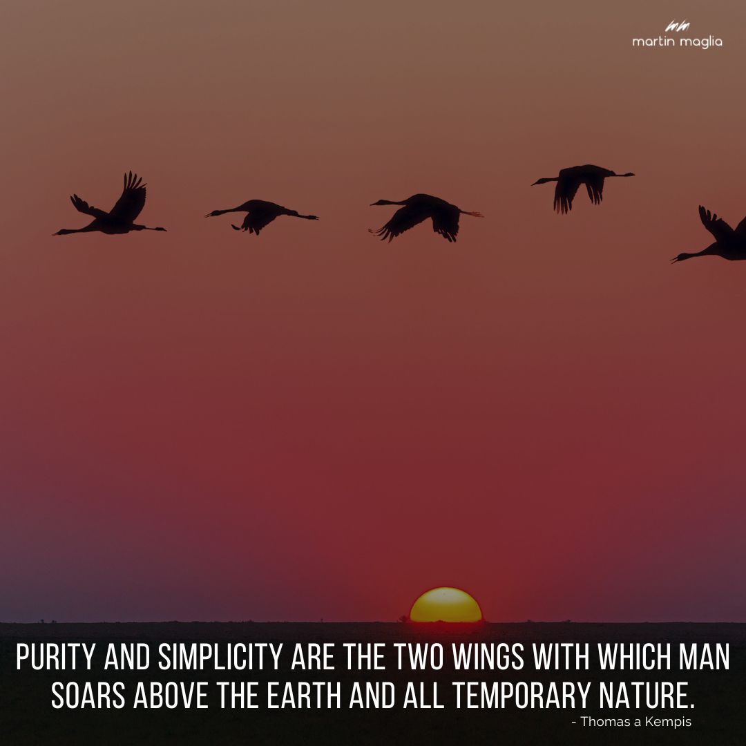 Purity and simplicity are the two wings with which man soars above the earth and all temporary nature. - Thomas a Kempis #martinmaglia #mdi #sdi