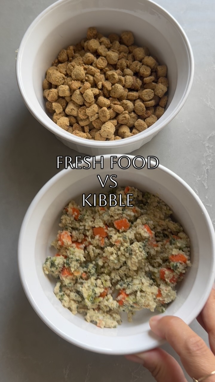 We let Finn choose 😲
#ifeedjffd #jffd #dogs #dogmom #realfood