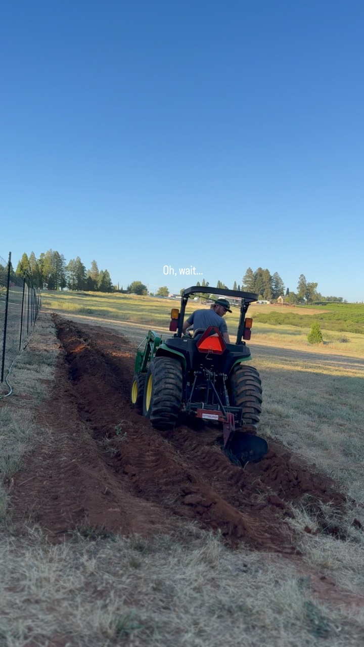 The kind of place where one drink turns into staying until sunset.
Live music. Local drinks. Great food. Tractor rides. Plenty of room to relax.
That’s a Saturday at Pine-O-Mine. 🌅. #PineOMine #AppleHill #Placerville #ElDoradoCounty #VisitAppleHill CaliforniaRoadTrip FarmFun HardCider SupportLocal WeekendVibes