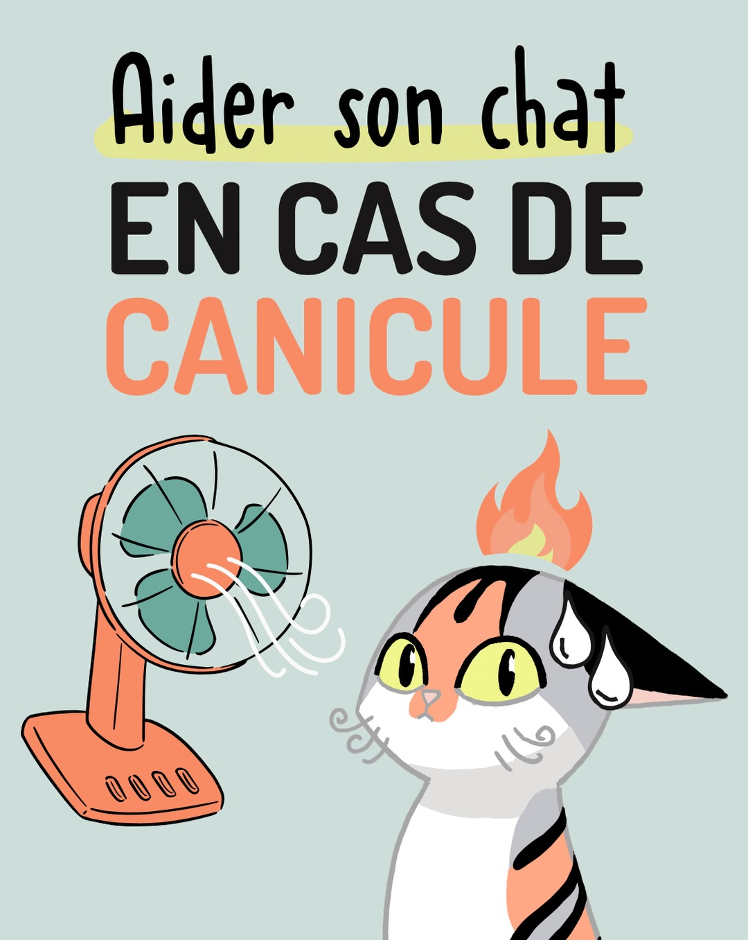 Bon, c’était pas prévu au programme cette semaine…
Mais vu que la météo a décidé de transformer la France en four géant 🔥 on s’adapte !
Opie et moi on a donc mis les bouchées doubles ce week-end (enfin Opie a surtout participé par la pensée depuis le carrelage sur lequel elle était étalée de tout son long 😅) pour te concocter ce carrousel : tout ce qu’il faut savoir pour aider ton chat mieux traverser cette canicule. 💚
💧Hydratation, alimentation, astuces pour le rafraîchir, signes d’alerte… parce que même si nos petits chats sont mieux armés que nous face à la chaleur, ils ne sont pas invincibles pour autant !
🤔 Et chez toi, quelle est la stratégie anti-chaleur préférée de ton chat ? Carrelage ? Baignoire ? Étoile de mer au milieu du salon ? ⭐
🗨️ Dis-moi tout en commentaire 😊
🐱 À la maison, mes chats passent beaucoup de temps à dormir sous les ventilos de plafond… mais déplorent quand même de ne pas pouvoir accéder à la véranda qui est habituellement leur pièce préférée > j’ai dû la fermer car la température y dépasse les 40°! 🥵🙀
#canicule #conseilchat #infochat