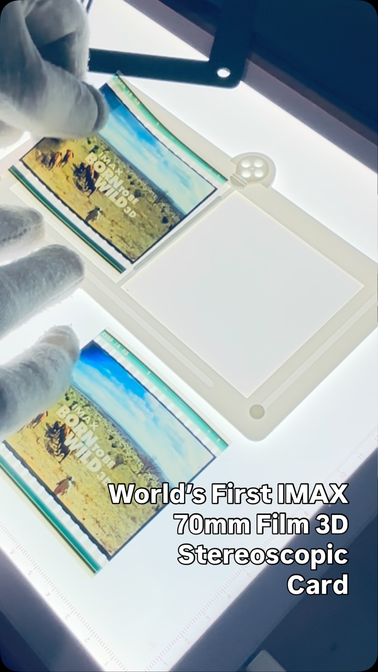 We have created the ‘World’s First IMAX 70mm Film 3D Stereoscope Card’ featuring the IMAX film ‘BORN TO BE WILD 3D’. We have re-purposed this massive film that provides the viewer a unique experience of being able to truly appreciate the IMAX 3D theatre experience. These custom cards can be placed into any typical Stereoscopic Card Holder (from those of the 19th Century all the way to the modern ‘Owl Stereoscopic Viewer’ by Sir Brian May of the ‘London Stereoscopic Company’. Crafted in our studio in Ontario, Canada & shipped worldwide.
https://www.cine-light.com/ #imax3d #stereoscopic