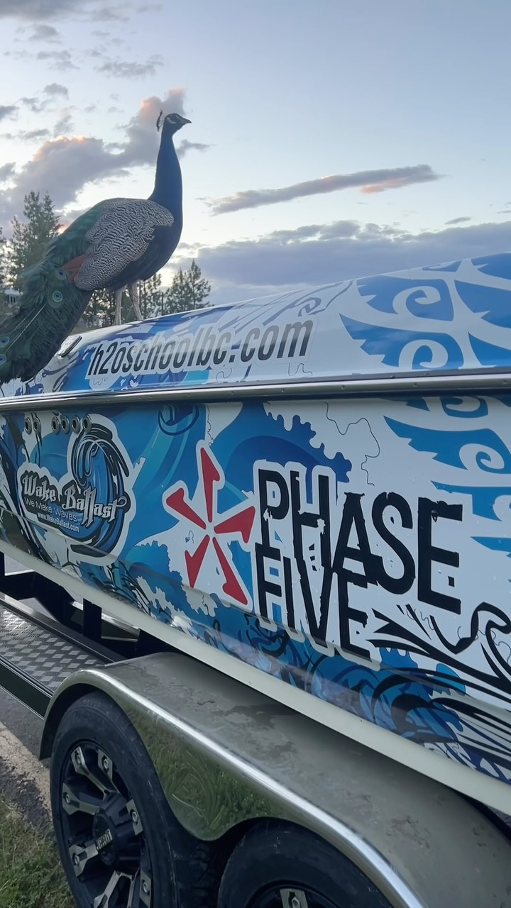 Even the locals know where the fun happens! ๐ฆ๐ฆAfter hearing H2O School was open, the campgroundโs self-appointed quality control team stopped by to inspect the boat. Iโd say it passed with flying colors.
๐โ๏ธ
@koocanusa.campsite @phase5wakesurfers @shuswapsnb #peacock #koocanusa #boat #lakelife #h2oschool @centurionboats @wizardlakemarine