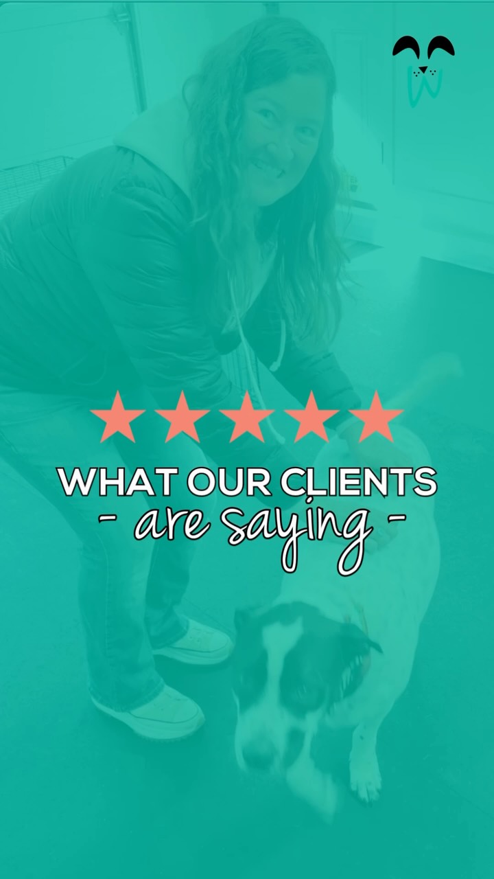 āāāāā
"Mike is an amazing trainer who has a wealth of knowledge about all kinds of dogs and issues! He can do the basics through expert tricks! Crate training! Muzzle training! He does it all! He has really helped me train my dog, Charley, who has many deep-seated issues, and my dog really trusts him."āØā Kate B.
Thank you, Kate, for your kind words and for trusting us with Charley š¶
Whether you're starting with puppy foundations, working through behavior challenges, building confidence, or fine-tuning advanced skills, our goal is always the same: helping dogs and their owners build a relationship rooted in trust, communication, and understanding.
Ready to start your own training journey?
Visit our website to learn more about our programs and find the right fit for you and your dog.
We can't wait to meet you! š¾
dog training maine ⢠dog behavior training ⢠crate training ⢠muzzle training ⢠building better house pets ⢠southern maine dog trainer #WoofWorksTraining #SouthernMaineDogs