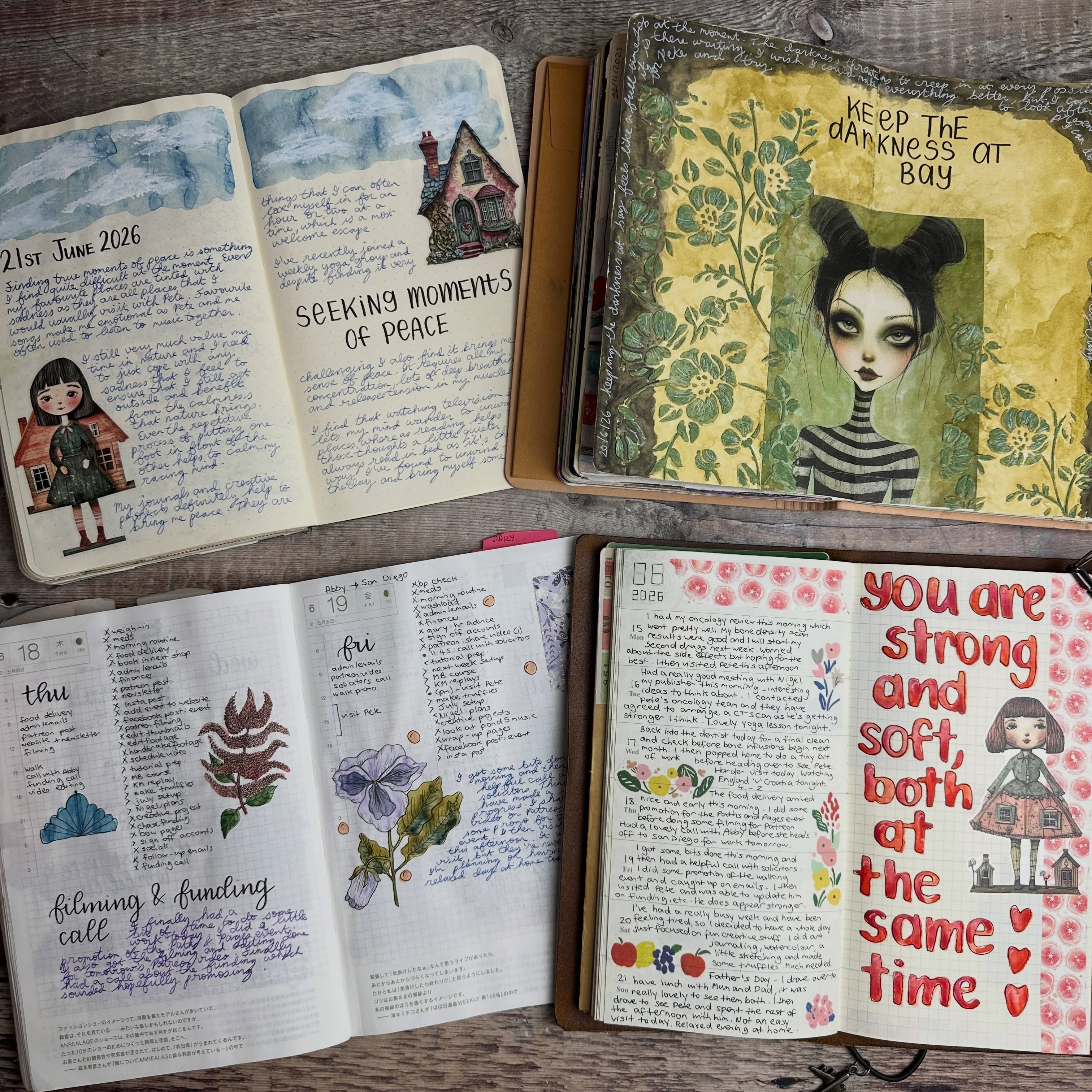 A roundup of my journals from last week. I hope you’re having a lovely weekend 🥰🩷 #journal #journalwithpurpose