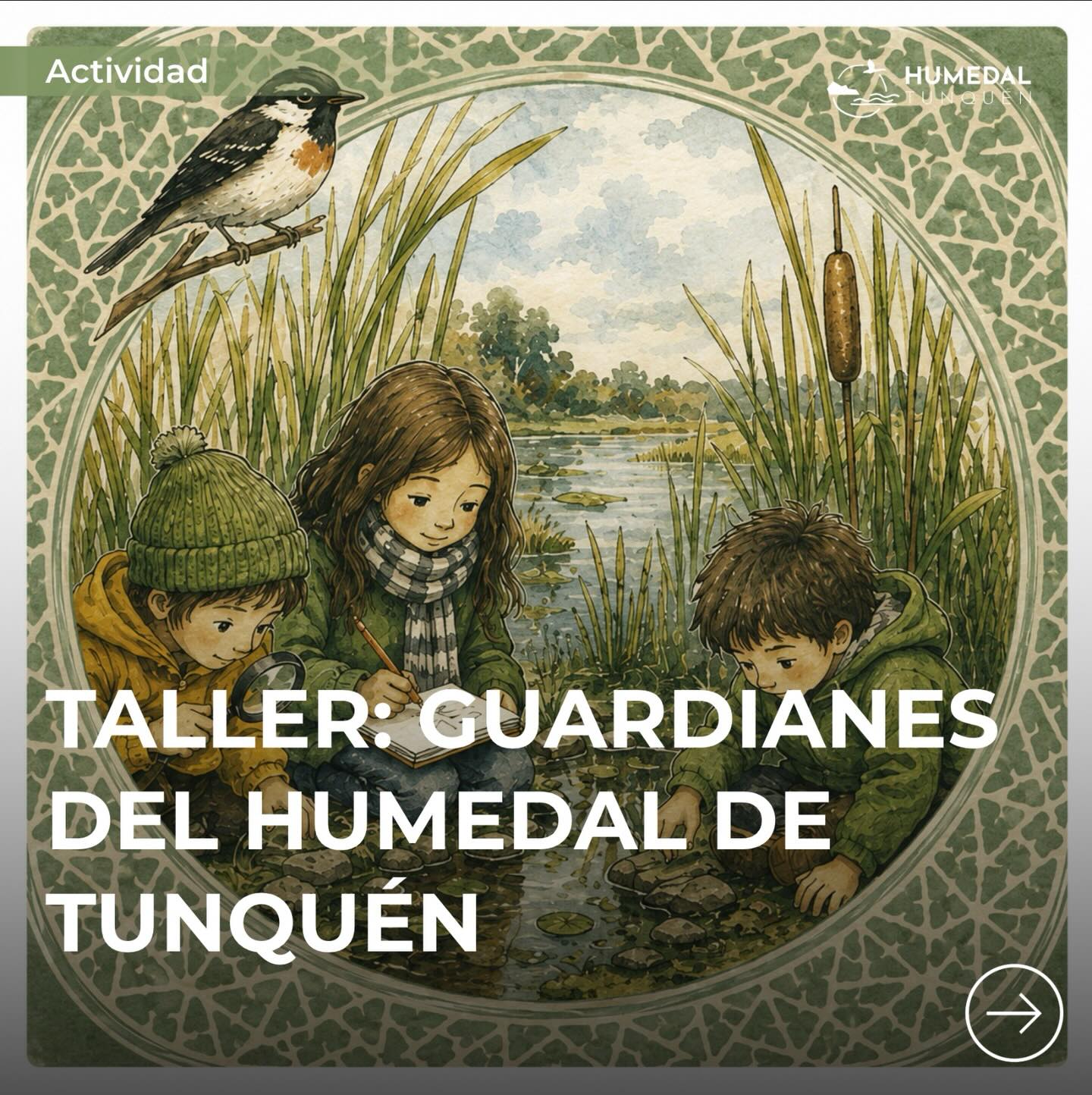 🌿 GUARDIANES DEL HUMEDAL DE TUNQUÉN 🦆
Estas vacaciones de invierno invitamos a niñas y niños a convertirse en exploradores, observadores y protectores de la naturaleza a través de una experiencia única en el Santuario de la Naturaleza Humedal de Tunquén.
✨ Taller 1: Detectives de Huellas
Aprenderemos a identificar las señales que dejan los habitantes del humedal y descubriremos los secretos que esconden sus caminos.
🦢 Taller 2: Guardianes de las Aves
Observaremos, conoceremos y aprenderemos a proteger las aves que hacen de este lugar su hogar.
🌱 Taller 3: Consejo de Guardianes del Humedal
Una experiencia para reflexionar, compartir aprendizajes y comprometernos con el cuidado de este valioso ecosistema.
👧👦 Edades: Niñas y niños de 6 a 12 años
📅 Fechas
• Viernes 26 de junio
• Sábado 27 de junio
• Lunes 29 de junio
🕚 Horario: 11:00 a 14:00 hrs.
👥 Cupo máximo: 10 participantes por taller
💚 Valor por taller: $18.000 por niño
✨ Hermano o amigo con 50% de descuento
🌿 Pack 3 talleres: $45.000 por niño
📍 Punto de encuentro: La Tiendita
📩 Inscripciones
+56 9 5688 7204
hola@humedaltunquen.cl
¡Los esperamos para descubrir, aprender y proteger juntos el Humedal de Tunquén!