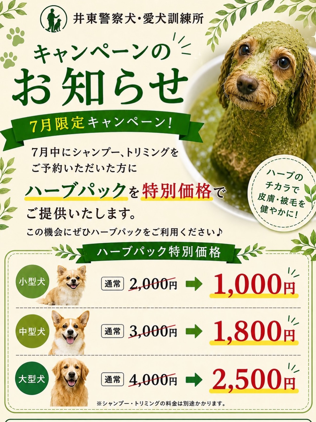 キャンペーンのお知らせ📢
夏こそハーブパック🌿‼️
ということで、7月のキャンペ
