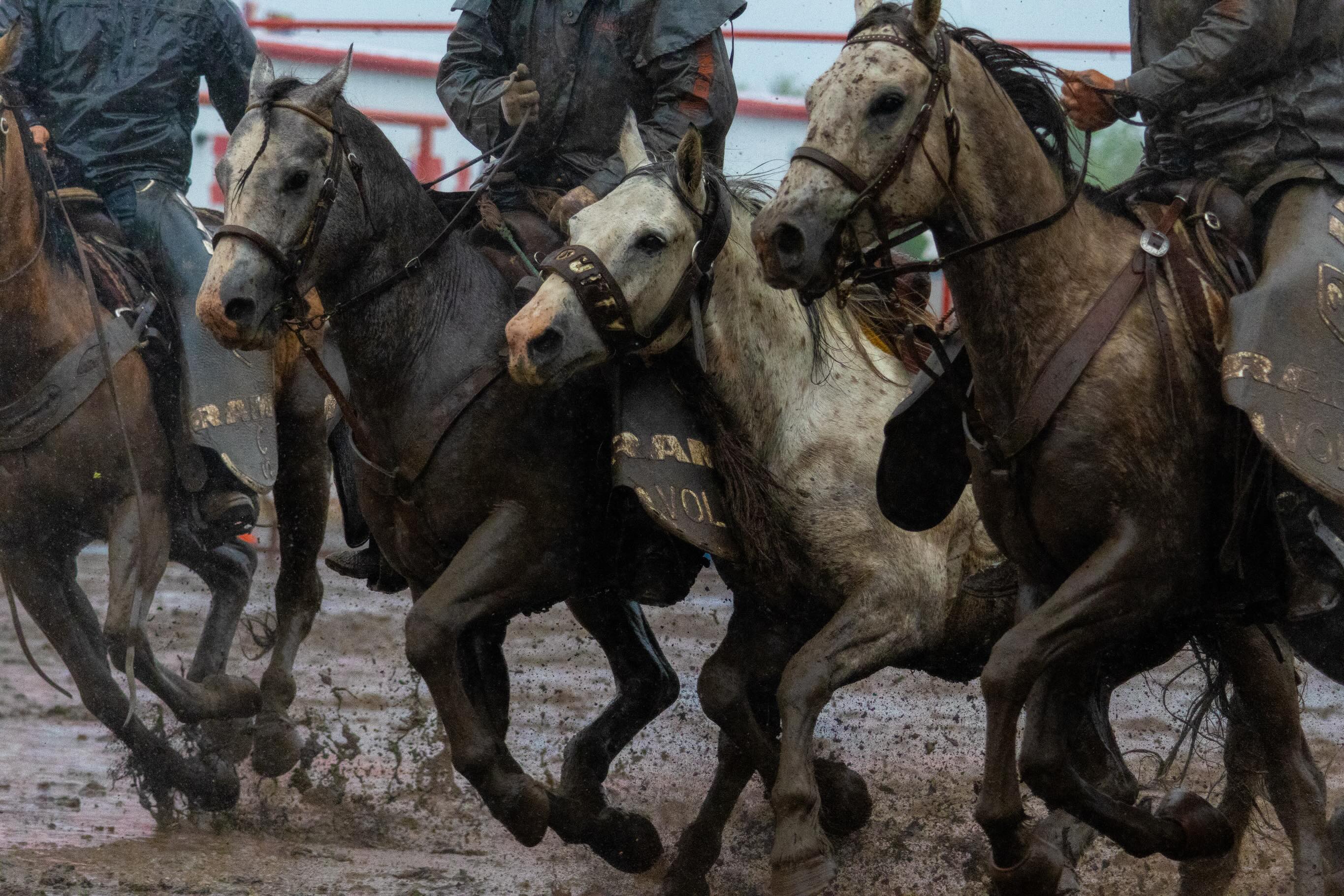 Life’s a mud pie… eat it with a smile
All the athletes (human and animals) showed up and showed out regardless of the soggy conditions
©StableInstincts. Shares are welcomed but Unauthorized use or reproduction of these images is strictly prohibited.
#ponokastampede #roping #rodeo #bullriding #barrelracing