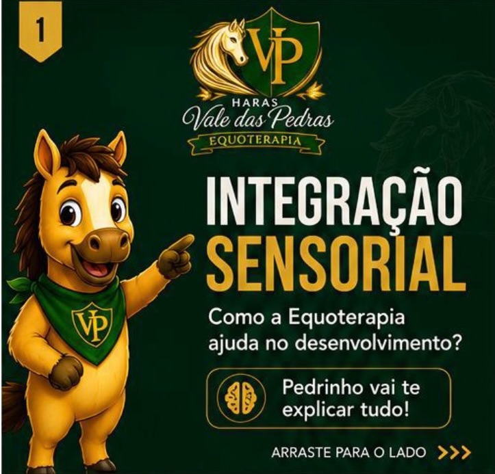 Você já o percebeu que algumas crianças se incomodam com sons, evitam certos toques, têm dificuldade para manter a atenção ou parecem estar sempre em movimento?
Muitas vezes isso pode estar relacionado ao processamento das informações sensoriais que recebemos todos os dias.
A Integração Sensorial é a capacidade do cérebro de organizar estímulos como movimento, equilíbrio, toque, visão e audição para que possamos interagir melhor com o mundo ao nosso redor.
E você sabia que a Equoterapia pode ser uma grande aliada nesse processo?
O movimento tridimensional do cavalo oferece estímulos naturais que auxiliam no desenvolvimento do equilíbrio, da coordenação motora, da consciência corporal, da atenção e das habilidades sociais.
Cada sessão é uma oportunidade de aprendizado, conexão e desenvolvimento de forma acolhedora e motivadora.
👉 Arraste o carrossel até o final e descubra como a Equoterapia pode transformar vidas.
💚 Salve este conteúdo para consultar depois.
💚 Compartilhe com uma família que precisa conhecer essa informação.
💚 Siga nosso perfil para aprender mais sobre desenvolvimento infantil, Equoterapia e Intervenções Assistidas com Cavalos.
📍 Itupeva/SP
📲 (11) 97851-9997
#Equoterapia #IntegraçãoSensorial #Autismo #TEA #TDAH