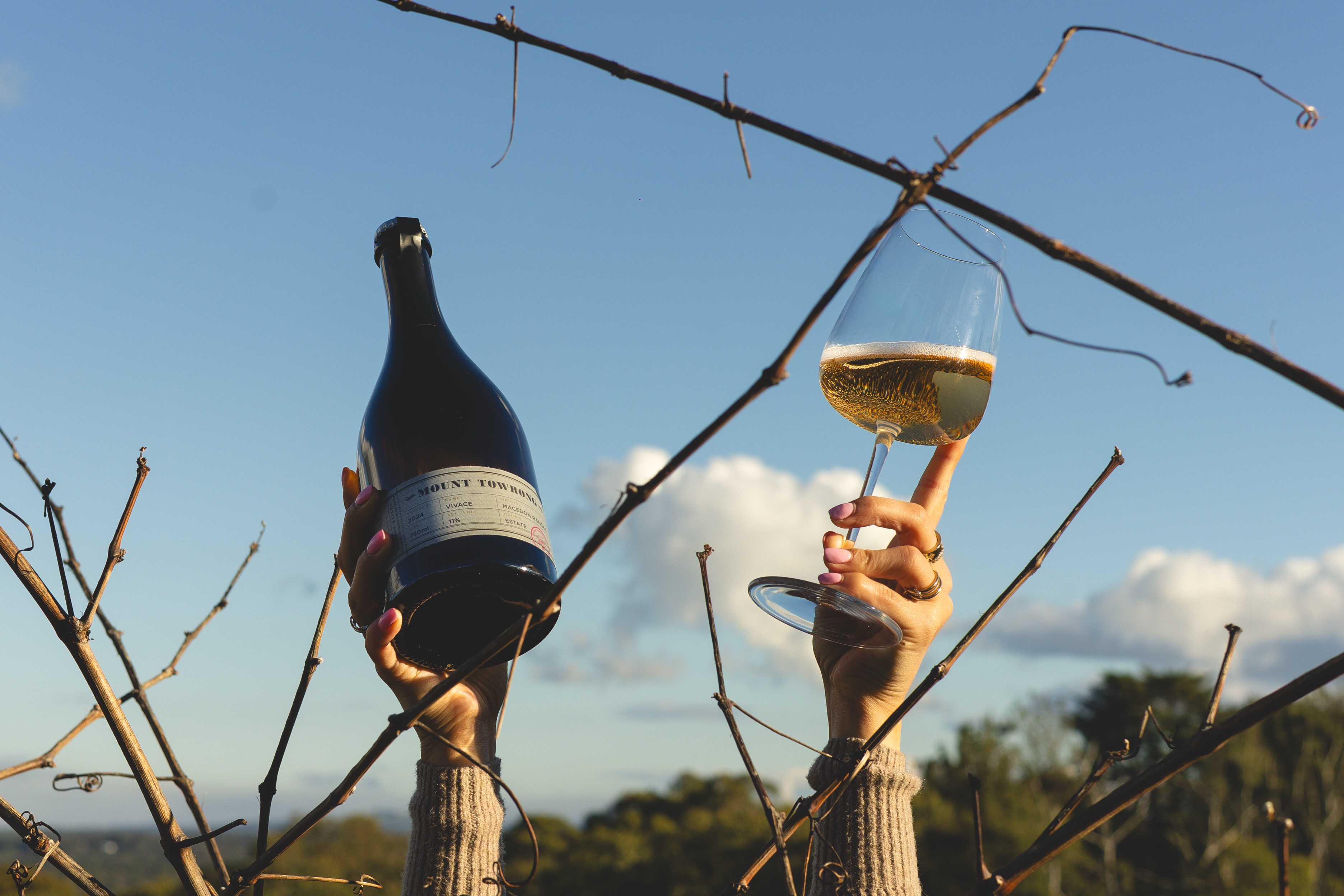 In case you missed it: 2024 Vivace is here! Think fresh strawberries, red currants and blood orange…everything you want in a glass