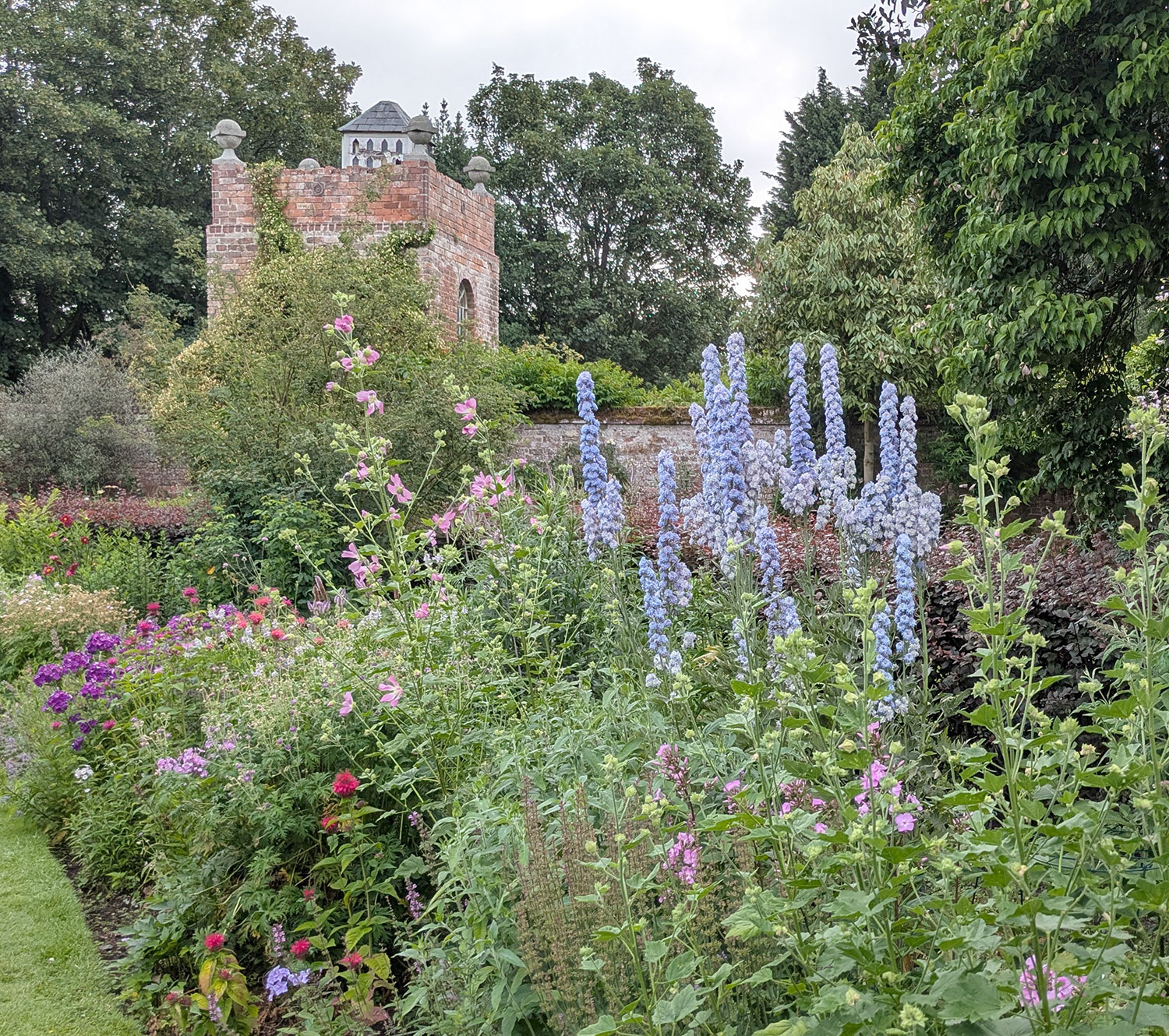 1. The double flowered Delphinium 'Alice Artindale'.
2. Carmichaelia australis curious flat-leaved stems and wonderful lilac flowers .
3. Chordospartium stevensonii lurking behind Dieramas