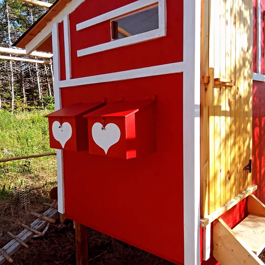 Dave had a funny idea for the nesting boxes on the coop. Also, Lupins. Happy Summer days everyone! ♥️💜
