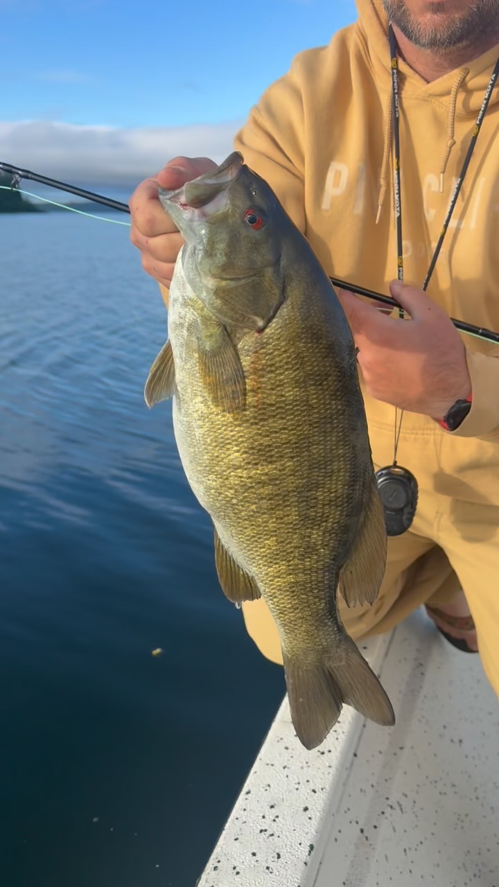Smallie on the fly