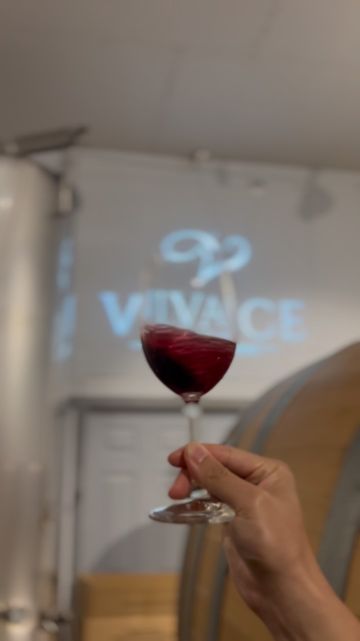 🍷 A Little Behind the Scenes at Vivace Estate Winery
Did you know that a cellar tasting is about more than simply enjoying great wine?
Behind every bottle is a journey of patience, craftsmanship, and careful attention. Throughout the aging process, we regularly taste and monitor each wine to ensure it is developing beautifully and reaching its full potential. Every barrel and every tank tells a story, and every tasting helps guide the wine toward the perfect balance before it’s bottled.
Visit & Taste With Us
🍷 Sip. Learn. Explore.
#VivaceEstateWinery #CellarTasting #BehindTheScenes #OntarioWine #LakeErieNorthShore
