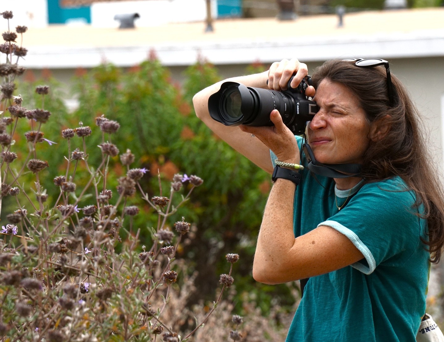 Had an amazing time with a lovely group during last weekend's Wildflower Photography Workshop! 🌸 📸
We learned about the technical side of photography, how to make the most of phone cameras, small fixes that yield big impacts... and we just enjoyed some good old-fashioned time in nature! 🦋
Stay tuned for some of the gorgeous photos the group captured. Another successful workshop in the books! ✨️
#NorthStarnaturalist #SanDiegoWorkshops #WildflowerPhotography #SoCalWildflowers