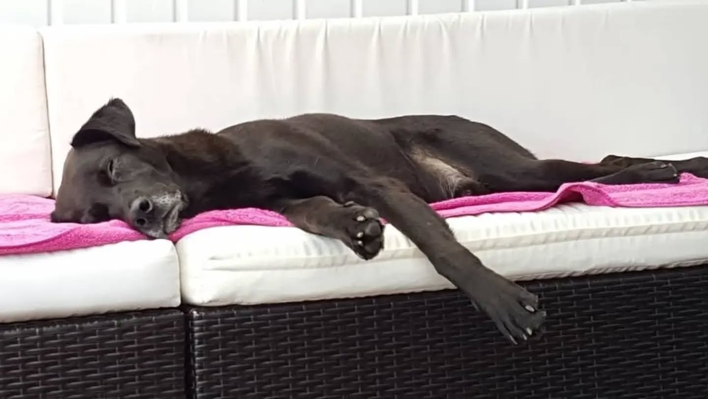 Und Ihr so bei der Hitze 😄 ... Sommer auf Dachterrassien in H 🥰