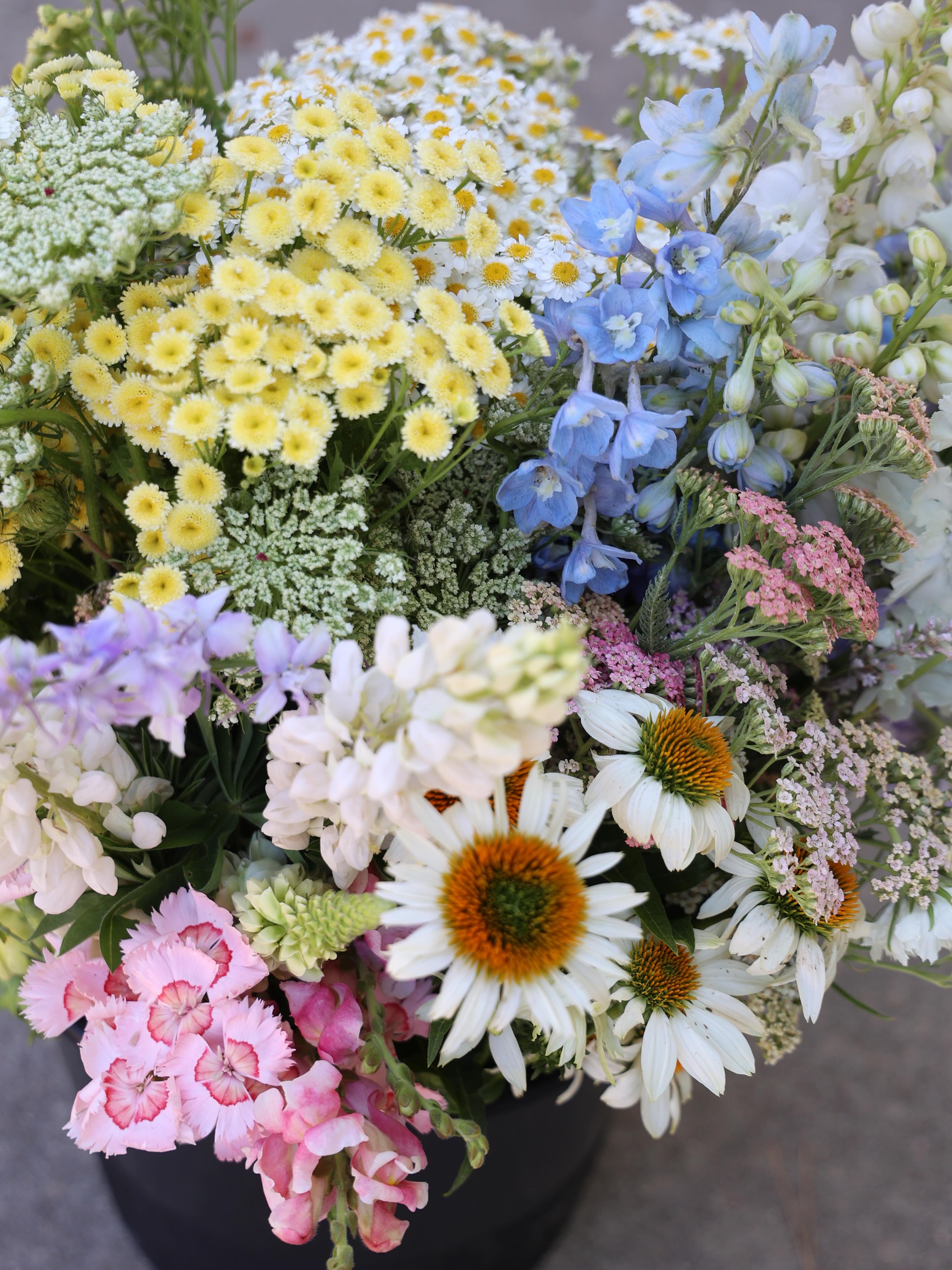 Flowers for a special celebration 💕
Flower buckets are available for purchase on our website, now through September. If you’re looking for something specific of if you need multiple buckets, it always helps to reach out to us first to make sure we have availability.
This is just the beginning of bucket season, and we’re off to a beautiful start!