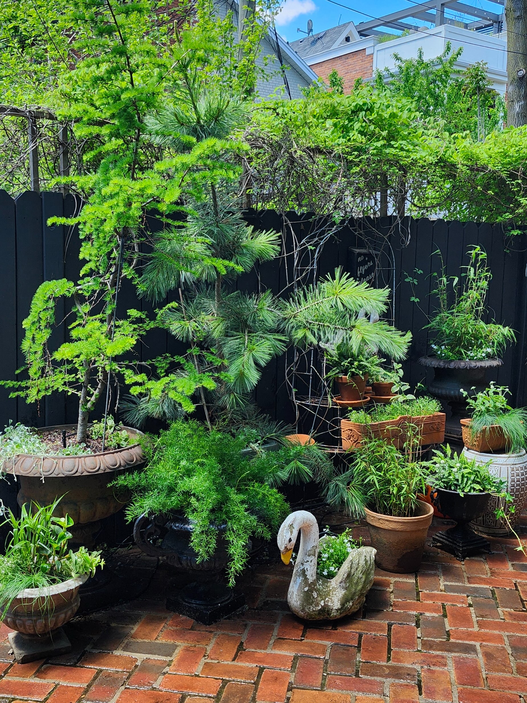 In case you missed it, summer has finally hit! 🔥 Take in these hot summer planters while you sip on a cool beverage 🧃
#lunagardenscapes
#summerplanters
#customurns
#torontogardeners
#muycaliente
