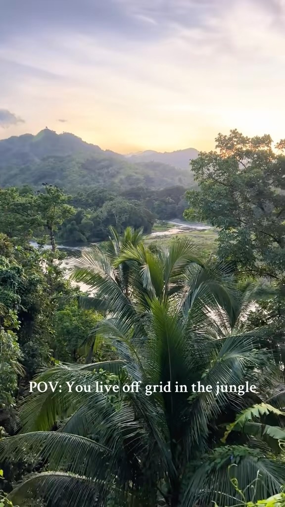 POV: You live off grid in the jungle