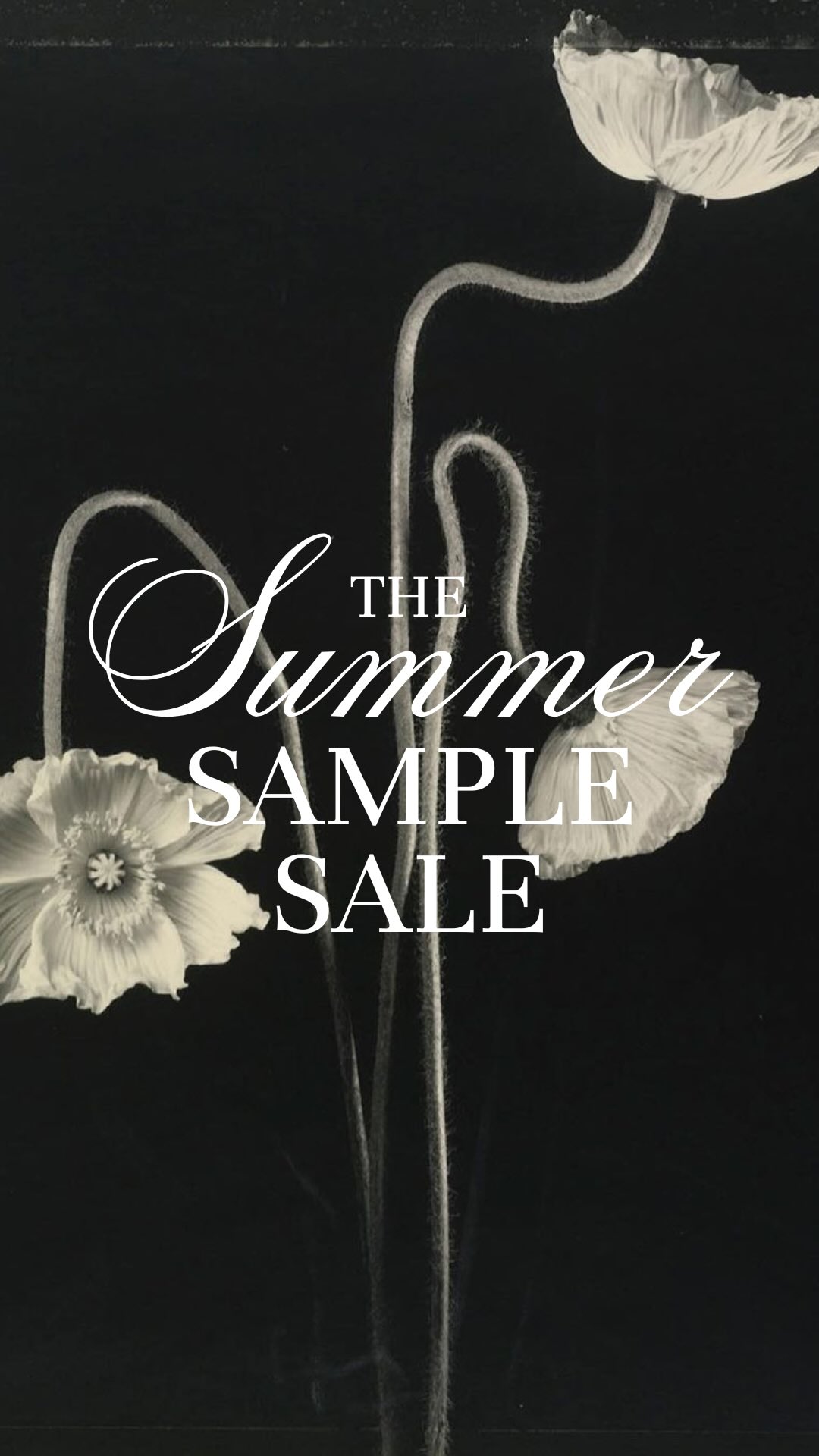 The Sample Sale event of the summer is here! Select wedding dresses are majorly discounted when you buy off-rack at Amanda Ritchey Bridal Loft in Annapolis, MD đ¤â¨â¨These styles are on-trend, highly coveted, and flying off the hangersâ so get here ASAP before theyâre gone! Your wedding budget will be oh so grateful for this deal.
Head to amandaritchey.com to secure your fitting room & select âSample Saleâ when requesting your appointment.
See you soon, brides to be!
/
wedding dress shopping maryland, bridal shop annapolis, baltimore bridal, sample sale maryland, bridal gown