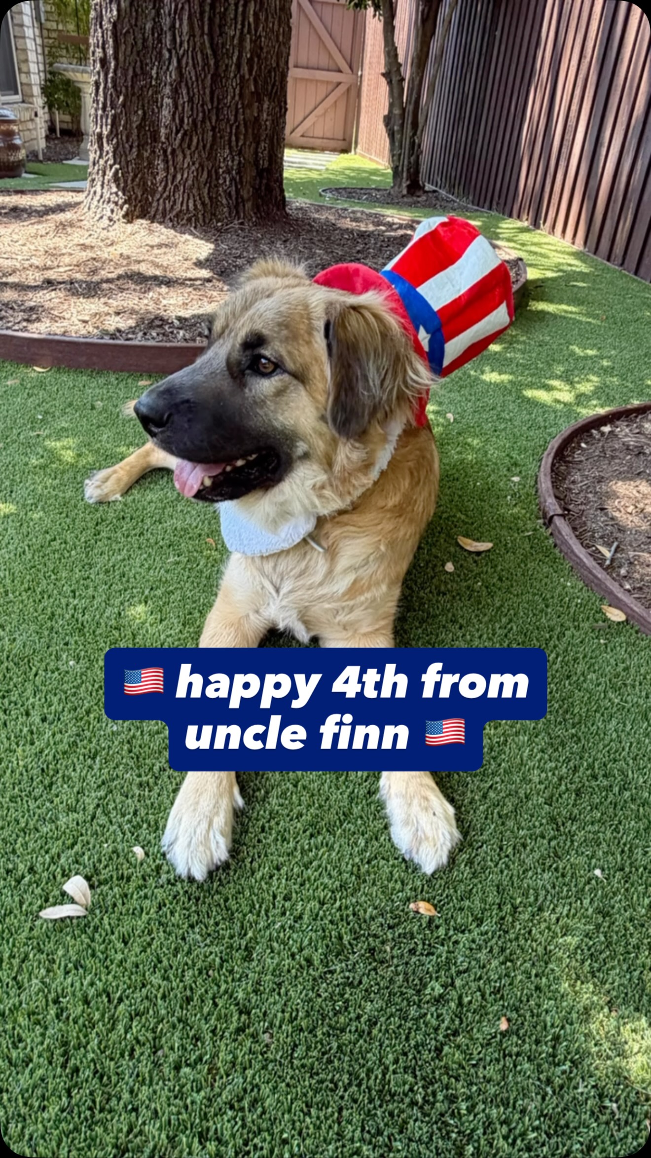 Celebrating Independence…Still Waiting for My Hormones to Declare Peace 🎆🇺🇸🧨
Happy 4th!
#america #fireworksorhotflashes #menopause #starsandstripes #unclefinn