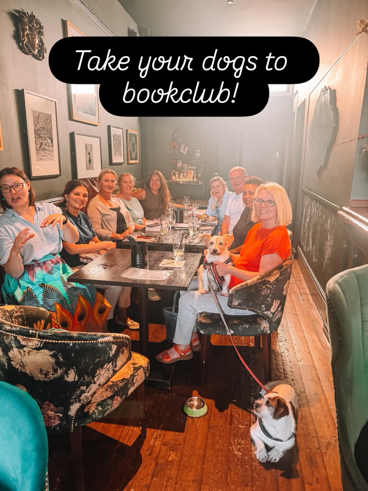 Dottie and Pippa had a fab time at yesterday’s bookclub! #dottie #pippa #kewdogs #happydogs