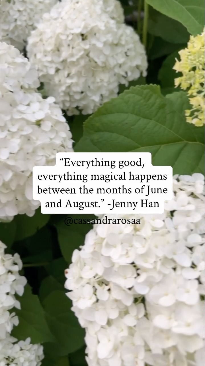 I couldn’t agree more with this quote!
I am a summer girl through and through. ☀️
The sunshine, moments at the beach, social events, reading a good book, being out in nature! I love it all!
As this new month commences, it’s a good time to have some time for reflection!
To look at everything good and magical happening in our lives!
Sometimes in the busyness of summer, life and business we don’t take the time to acknowledge the good and magic in our lives.
Especially when we are in the process of seeking more, our default can be to focus on what’s missing in our lives rather than the best that’s happening right now.
✨So what is the good happening in your life right now?
✨What magical things are unfolding in your business right now?
✨And how can you choose to embrace the good and magical things summer can offer you?
Let us know 👇🏼 and celebrate others for their wins too!
