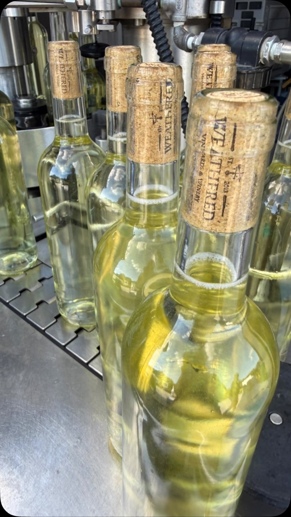Naked Chardonnay is ready for summer. This vintage is pure sunshine and ready for your glass!
#weatheredvineyards #madetosavorwv #pawine #siplocal