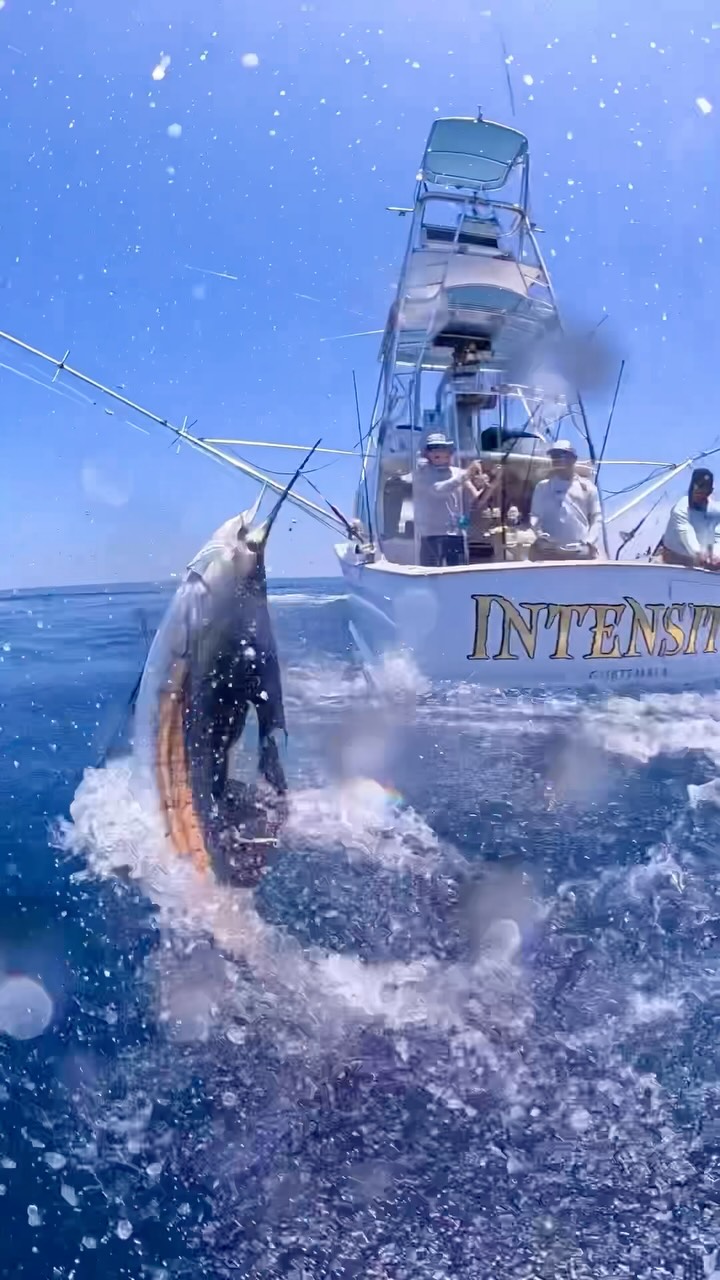 Our daily behind the boat action. Why fish anywhere else? When you can Fish w/ INTENSITY!!!
