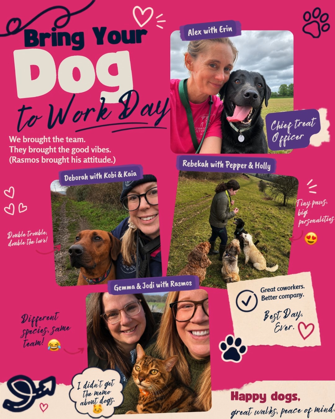 🐾 Bring Your Dog to Work Day 🐾
Alex brought Erin.
Rebekah brought Pep and Holly.
Deborah Bought Kobi and then Kaia
And Gemma & Jodi...
...brought a cat. 😹
Rasmos may not have got the memo, but he was more than happy to represent the feline community today. 🐱❤️
Who says dogs should get all the fun?
@erin_the_black_lab @rebekah_mushinski @debslyall_ @jodipitts @gemmacardwell3