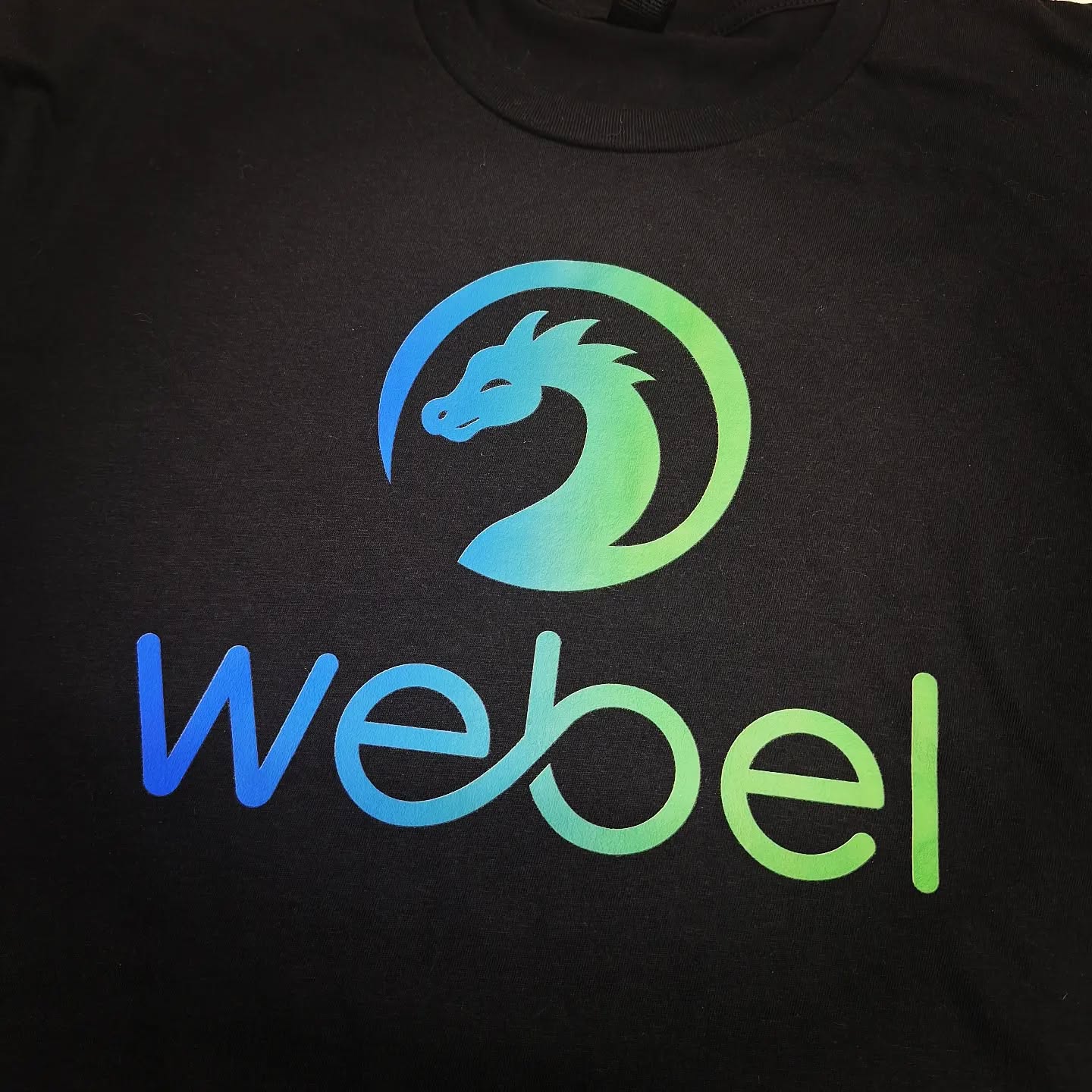 Webel #Seattle #tshirts #shirtprinting #washington