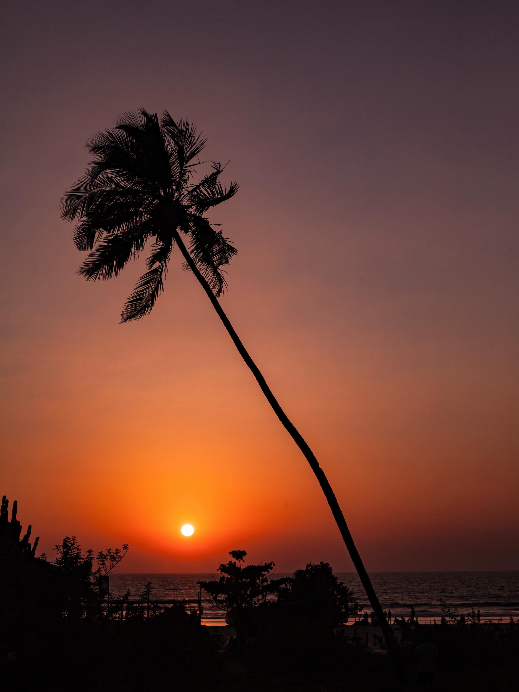 This week we have tropical opening hours ๐๐ด
Wednesday to Friday open from 11:00 โ 15:00
instead of 11:00 โ 18:00
Summer has arrived โจ
Time to be outside, slow down
& wear your favourite summer pieces!