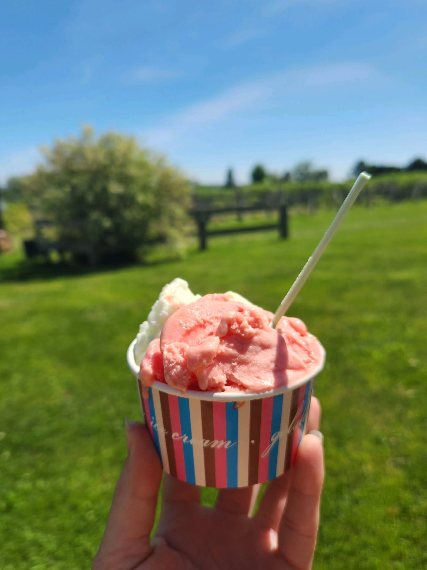 Today calls for homemade gelato.
Cool, creamy, and made in-house. Our gelato is the perfect little indulgence for a summer day in Prince Edward County. Stop by and enjoy a scoop (or two) while you’re here.
#WaupoosWinery #Gelato #PrinceEdwardCounty #SummerTreats #CountyLife