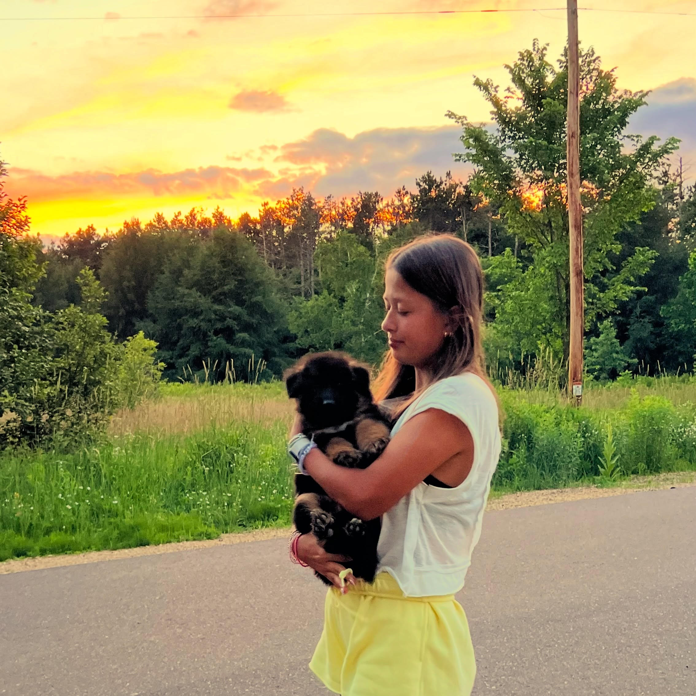 The sunset on the Summer Solstice was simply phenomenal.
The sky seemed to pause for a moment, painting everything in shades of gold, amber, and soft pink. Even with a long list of evening chores waiting, we couldn’t resist taking a few minutes to step back, soak it all in, and capture a few photos.