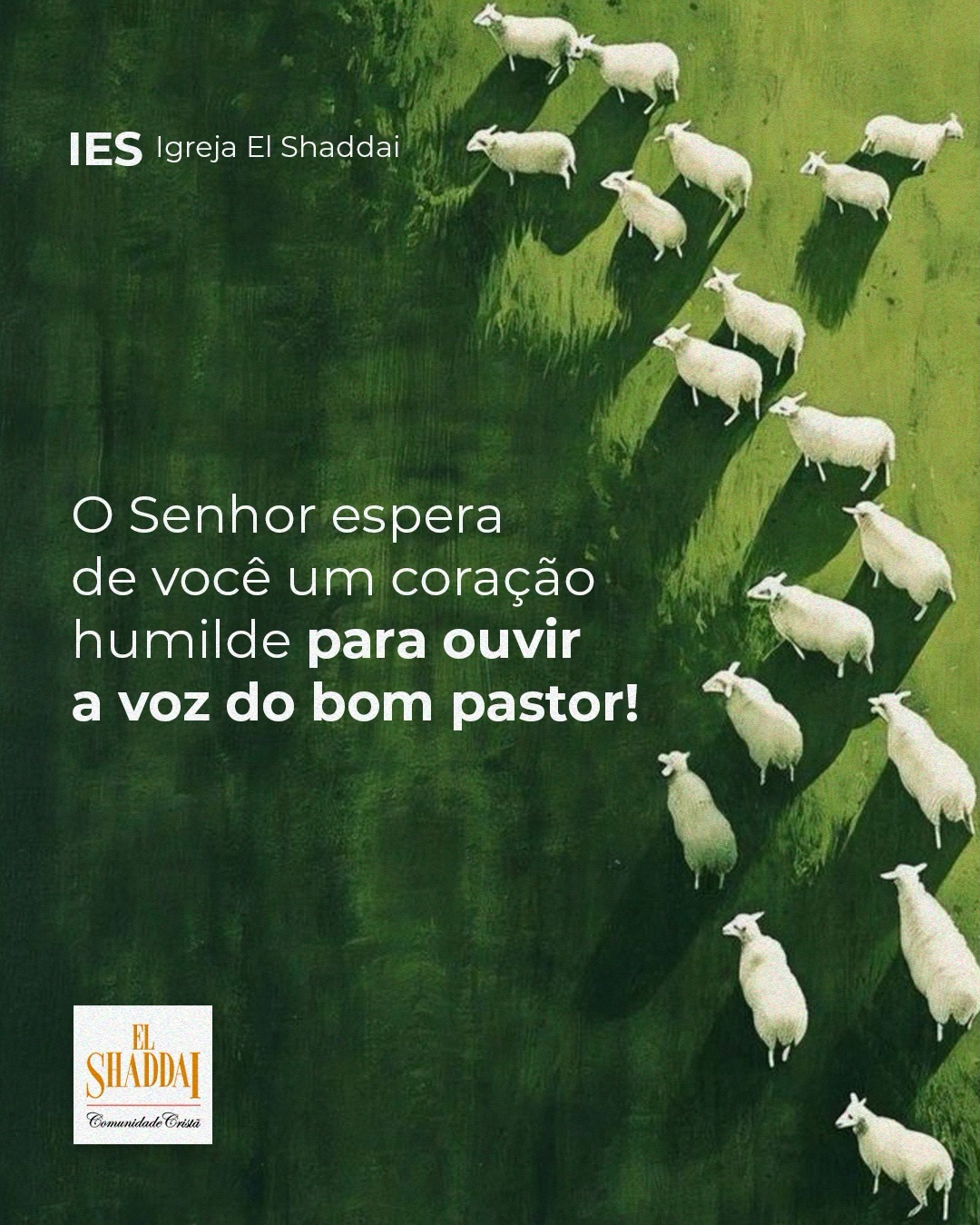 O bom pastor está à sua procura! 🐑
Não importa se você esteve longe de Jesus até aqui, há uma promessa de paz e amor verdadeiro na Presença de Deus. Ele deseja te resgatar e fazer de você alguém verdadeiramente feliz. ♥️
Essa mensagem ministrou ao seu coração? Acesse o YouTube IES12 e assista à ministração do último Culto de Domingo sobre a parábola da ovelha perdida. ✨🙌
🎨 @_luquinhax7
📝 @isabelle.pascuinelli
#ies12 #m12 #igrejaelshaddai #ovelhaperdida #cultodedomingo