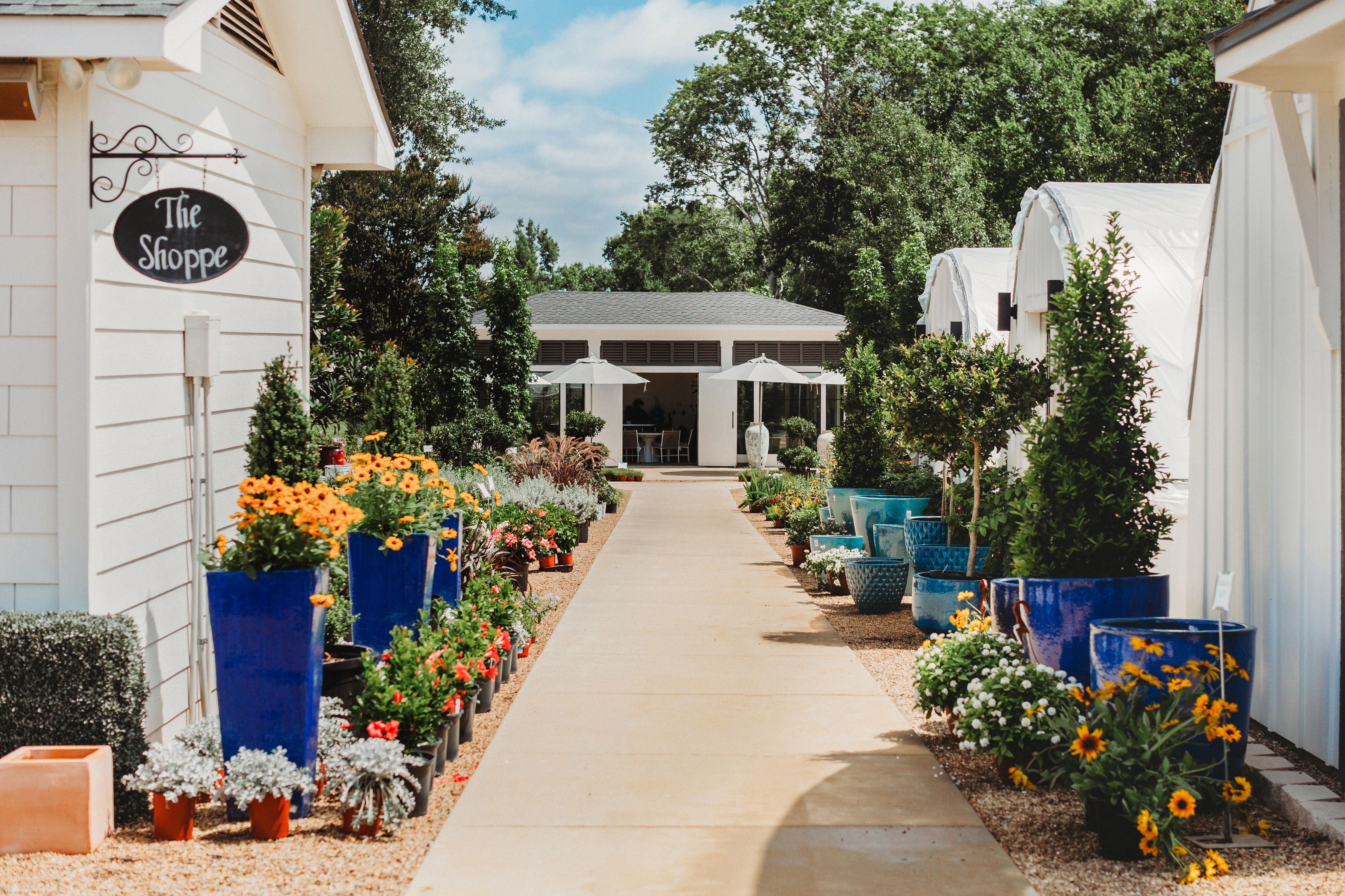 Your Saturday inspiration starts here. From vibrant pottery to lush greenery, every path leads to your next favorite find. Open today 8-5pm