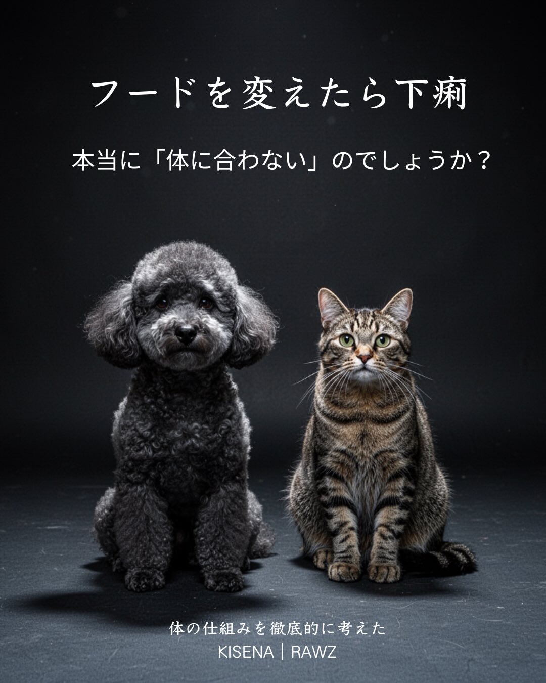 犬のフードを切り替えた後に下痢をすると、「体に合わなかった」と思ってしまう方は少なくありません。
しかし、フード変更後の下痢は必ずしも「合わない」という意味ではありません。
一般的なドッグフードから、高タンパク・低炭水化物のフードや生食へ切り替えると、腸内細菌のバランスや消化システムが新しい食事へ適応しようと変化します。その移行期には、一時的に便が柔らかくなることがあります。
もう一つ見落とされやすい原因が「給与量」です。
RAWZやKISENAのような栄養密度の高いフードは、従来のドッグフードと同じ量を与えると食べ過ぎになる場合があります。消化能力を超えた給与量は、軟便や下痢につながることもあります。
だからこそ、フードを変えた後は「合わない」とすぐに判断するのではなく、
✔ 腸内環境の変化
✔ 給与量は適切か
この2つを確認することが大切です。
今回のカルーセルでは、犬の下痢が起こる仕組みを、生物学・消化・腸内環境の視点から分かりやすく解説しています。
#犬の下痢
#ドッグフード
#犬の腸内環境
#ラウズ
#kisena国産生食フリーズドライ