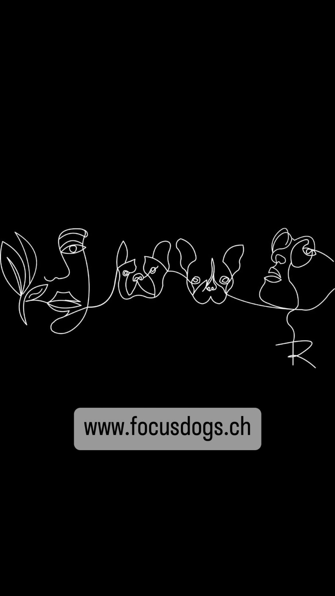 Ausweichprogramm bei dieser hitze💪🏽😎
#creativity #dogtrainer #funwithdogs